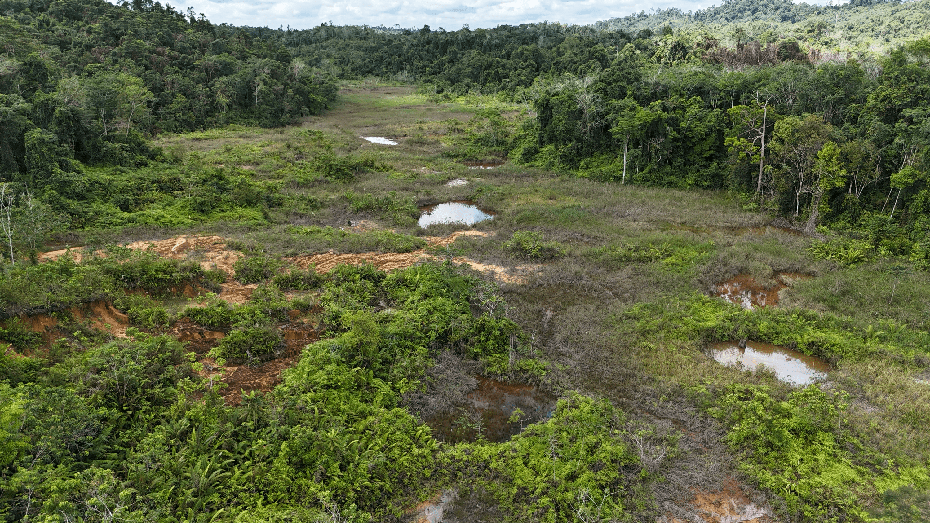 central kalimantan restoration site
