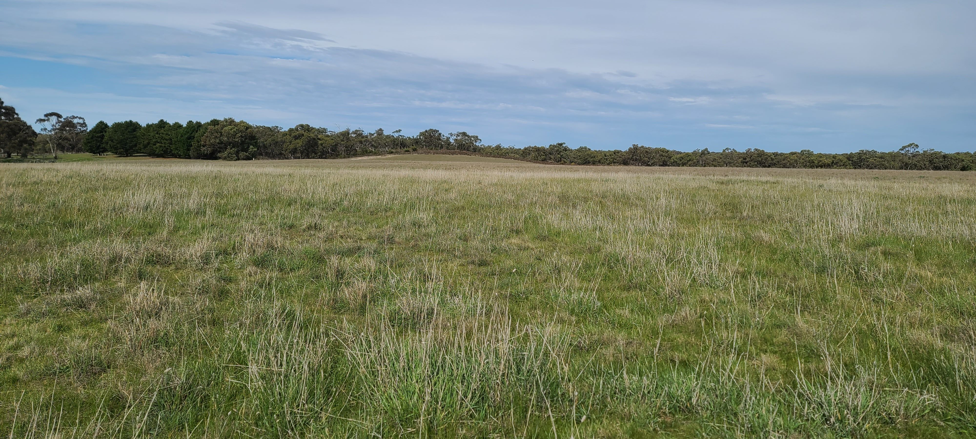 Peronne nature restoration site Victoria Australia