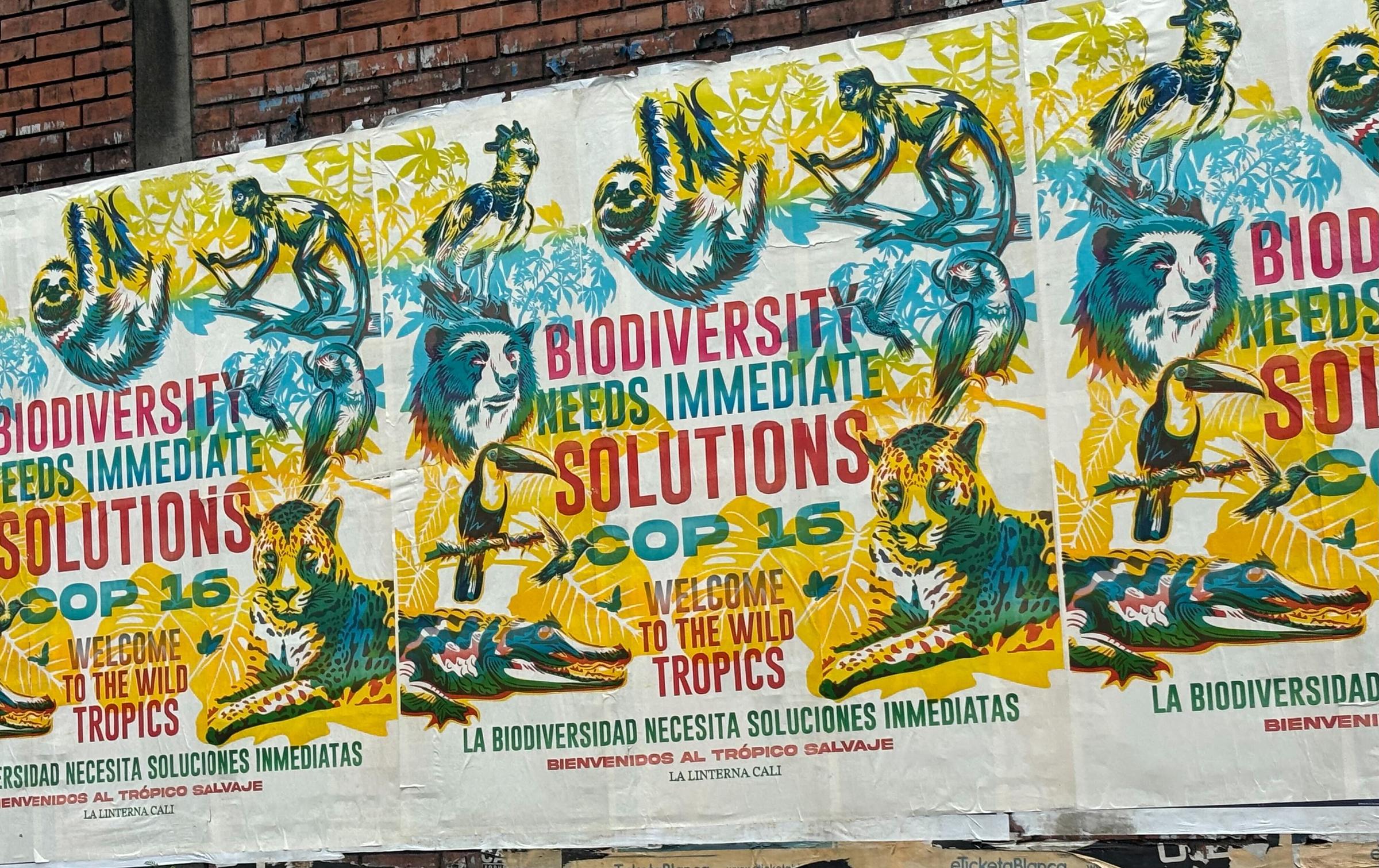 Biodiversity at COP16