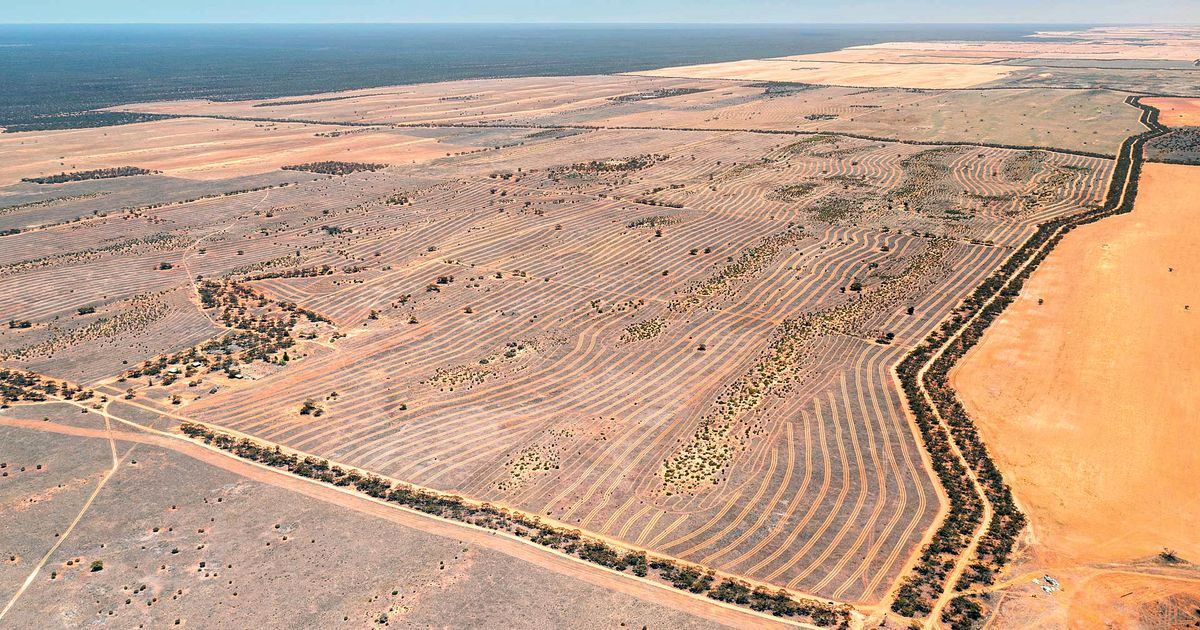 A New Era for Nature Investment in APAC | Land Life