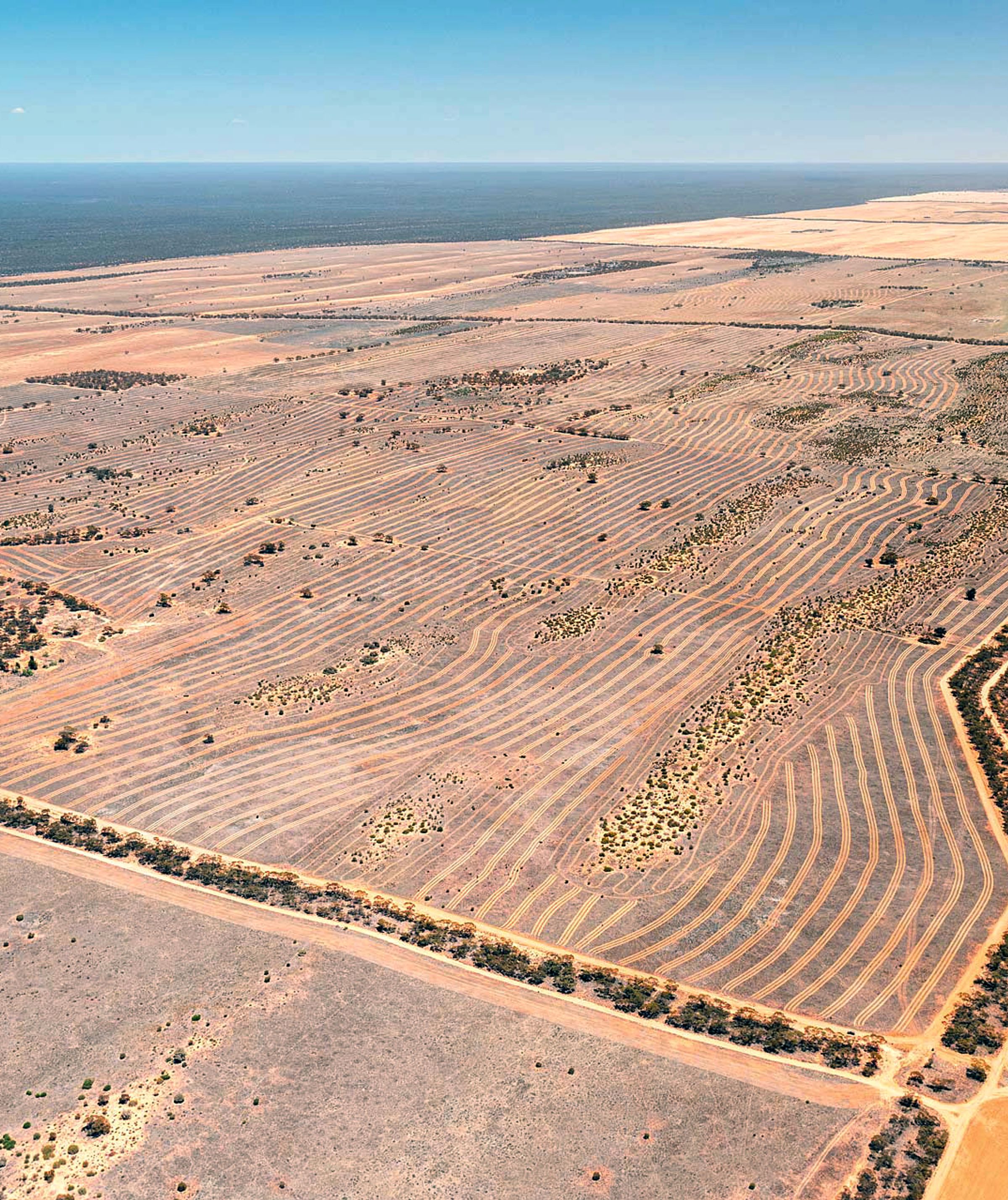 Carbon Crisis or Opportunity? A New Era for Nature Investment in APAC
