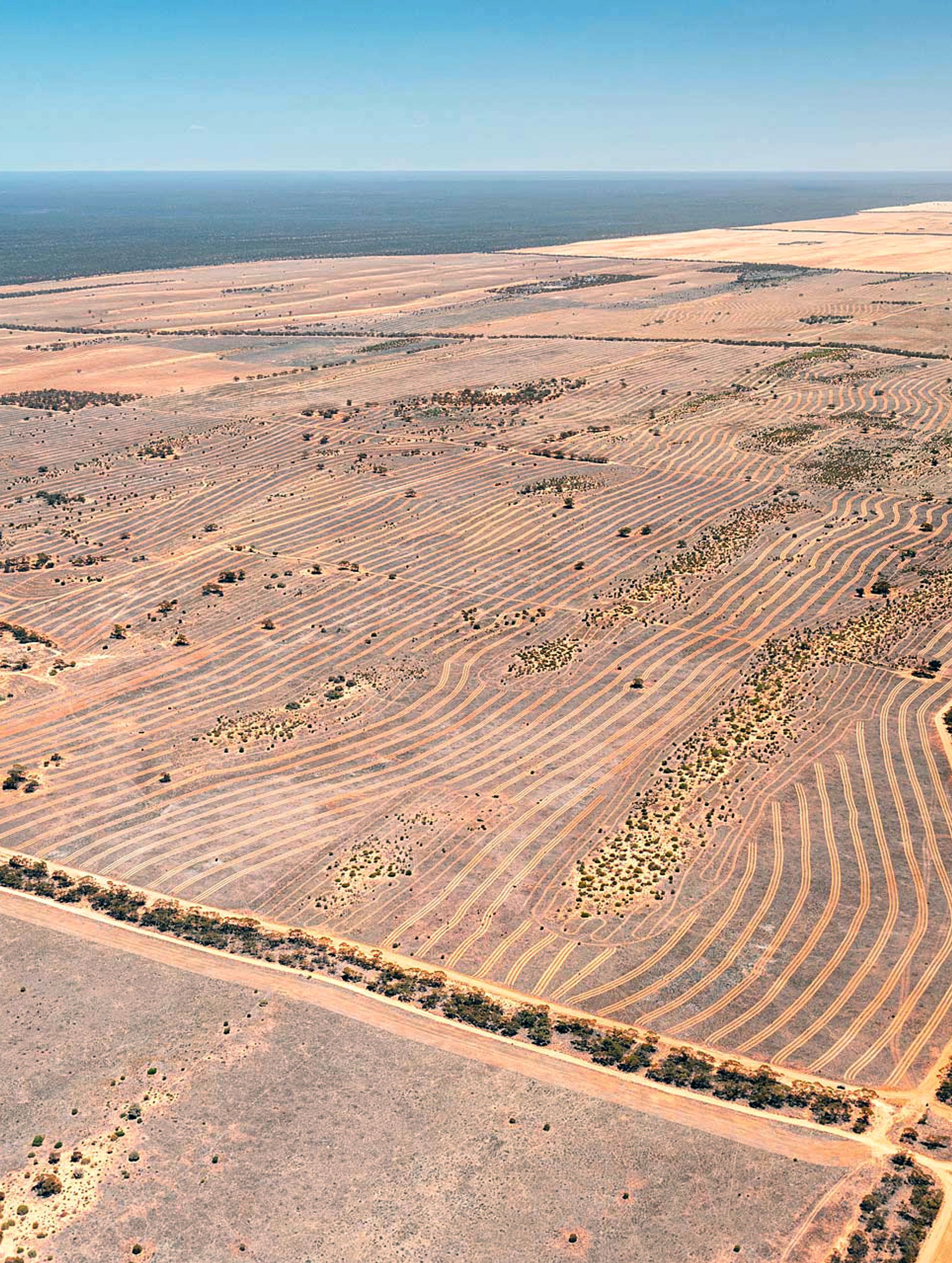 Carbon Crisis or Opportunity? A New Era for Nature Investment in APAC