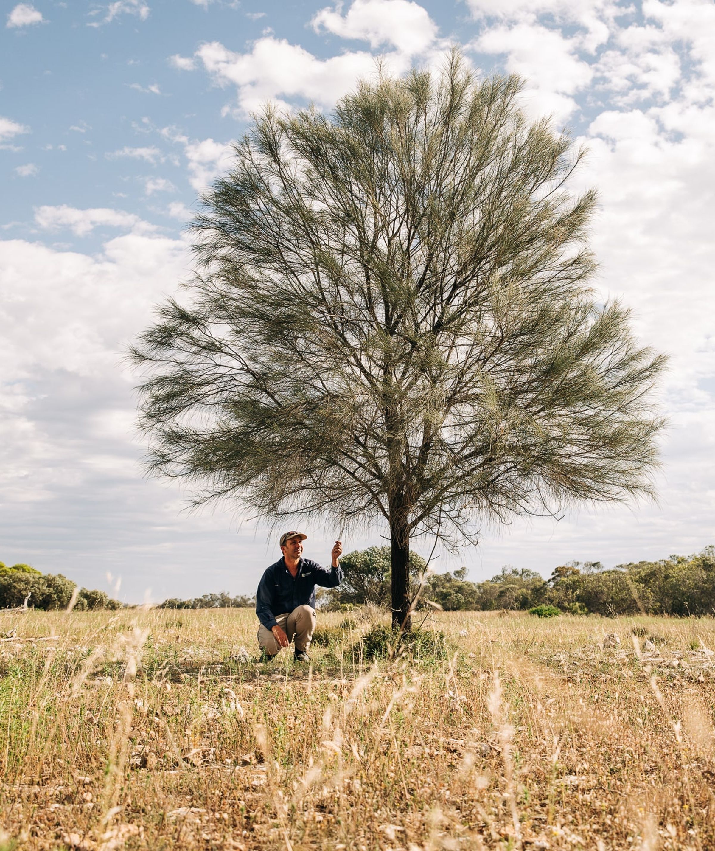 Iberdrola - Carbon2Nature Australia Case Study