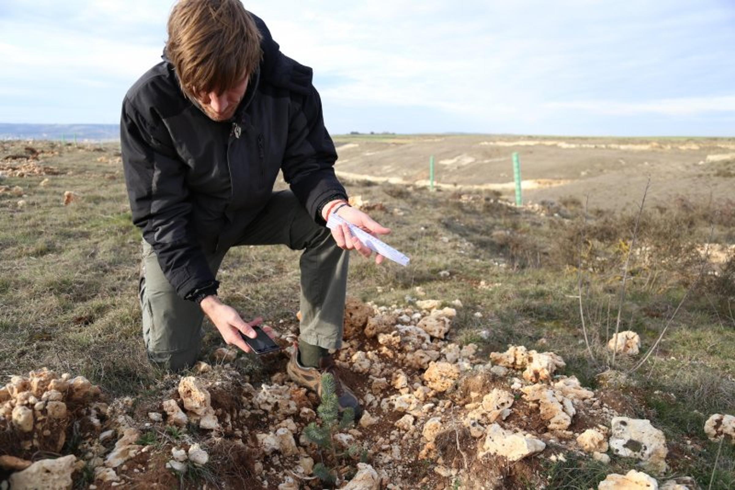 Project manager, Hielke Heida, uses the monitoring app we developed in-house to collect data on a planting in Spain.