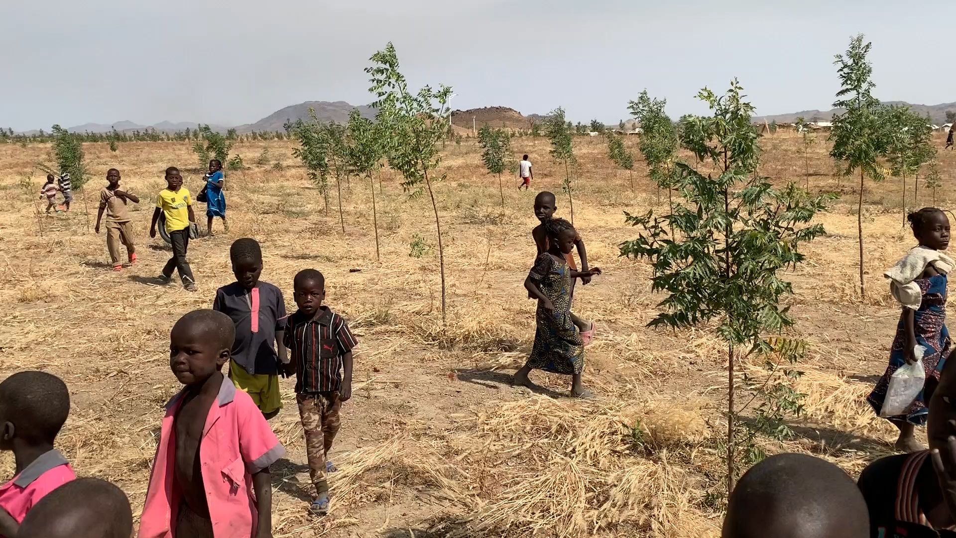 Construimos un campo de refugiados verde con ACNUR