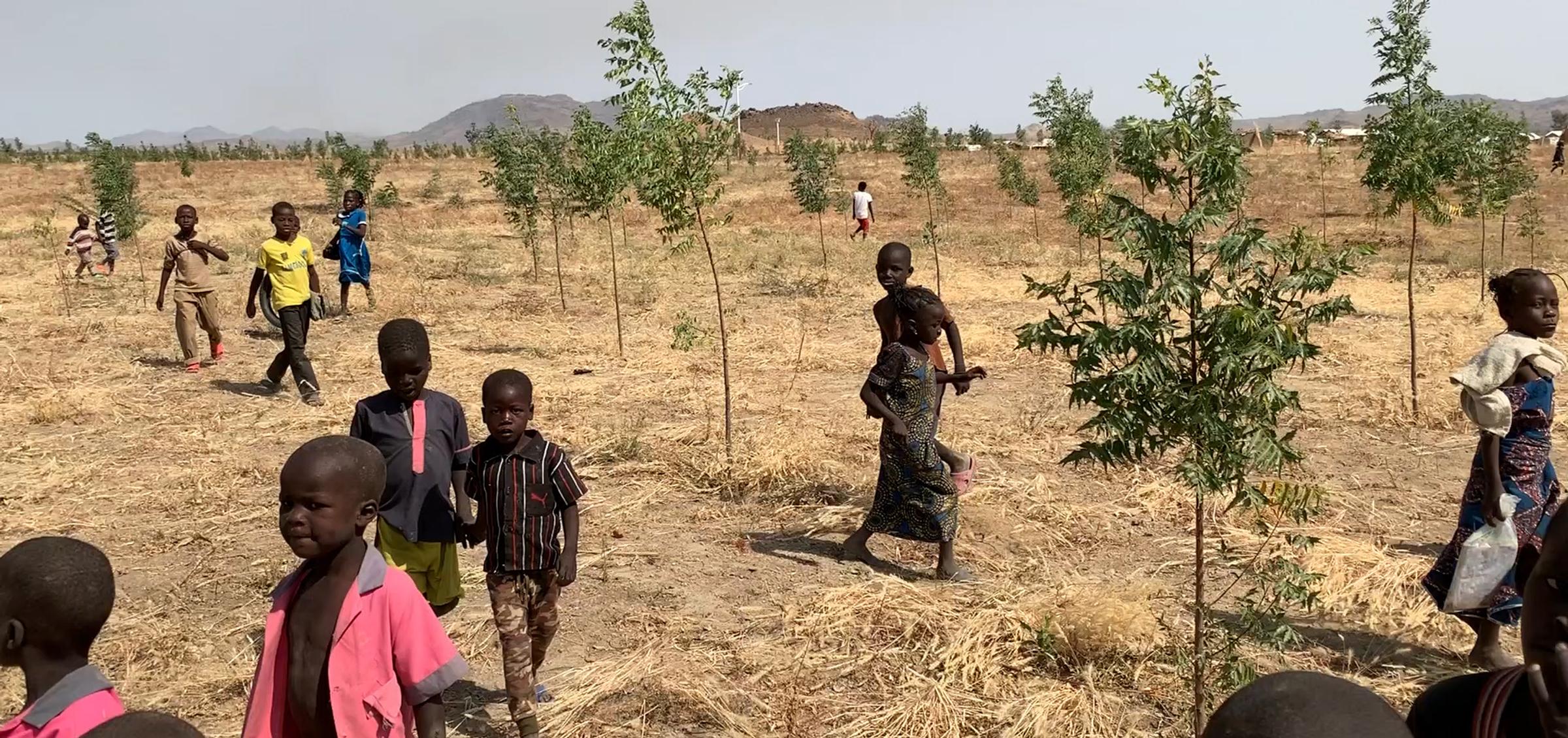Building a Green Refugee Camp with UNHCR