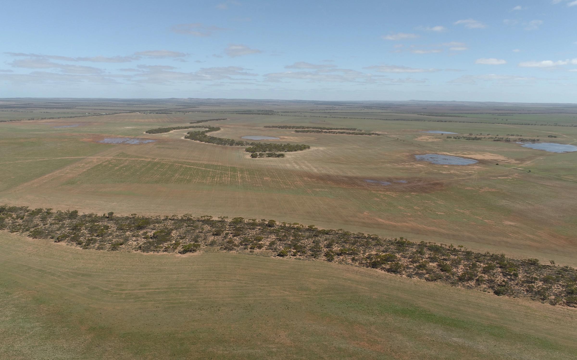 Degraded land