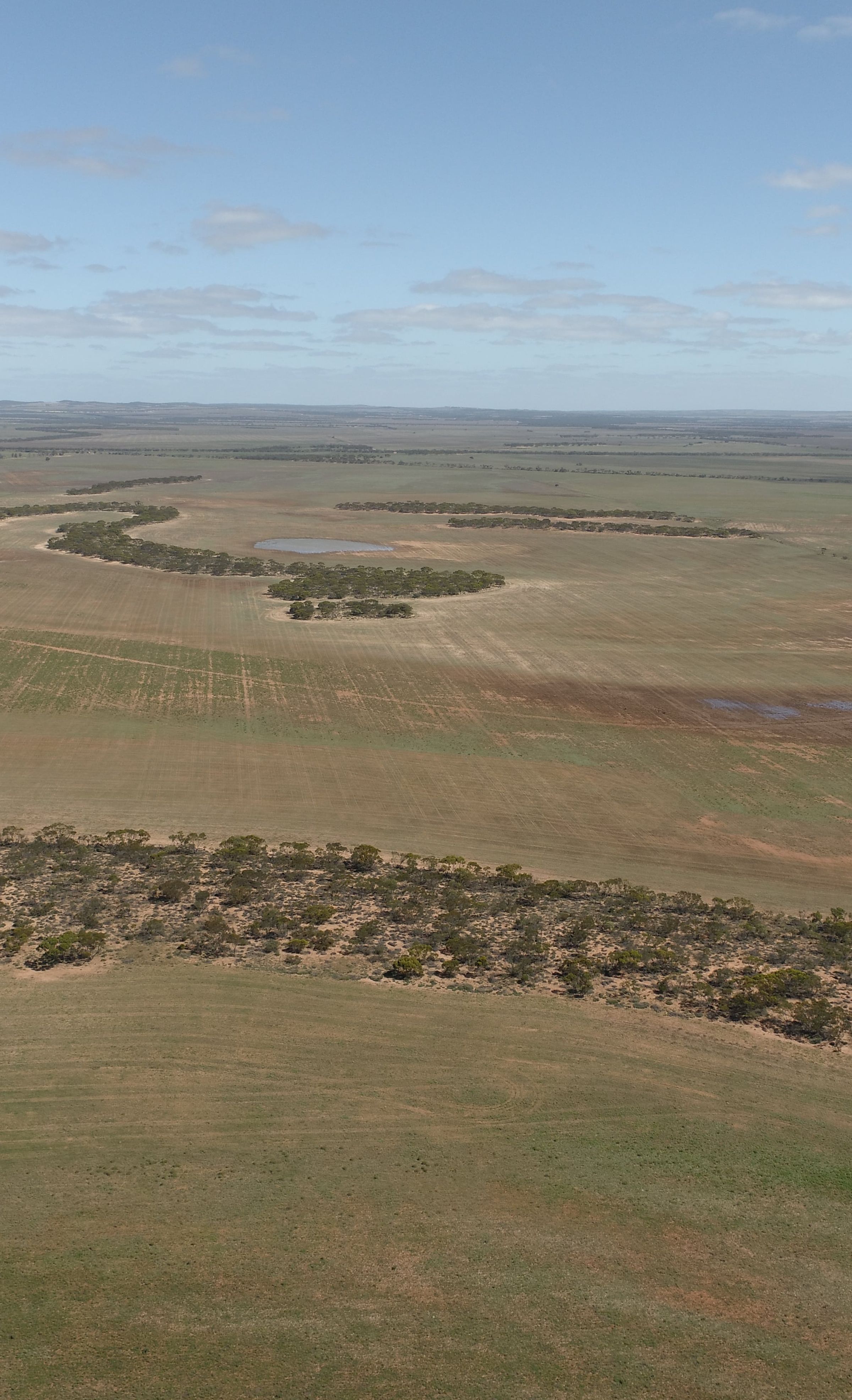 Degraded land
