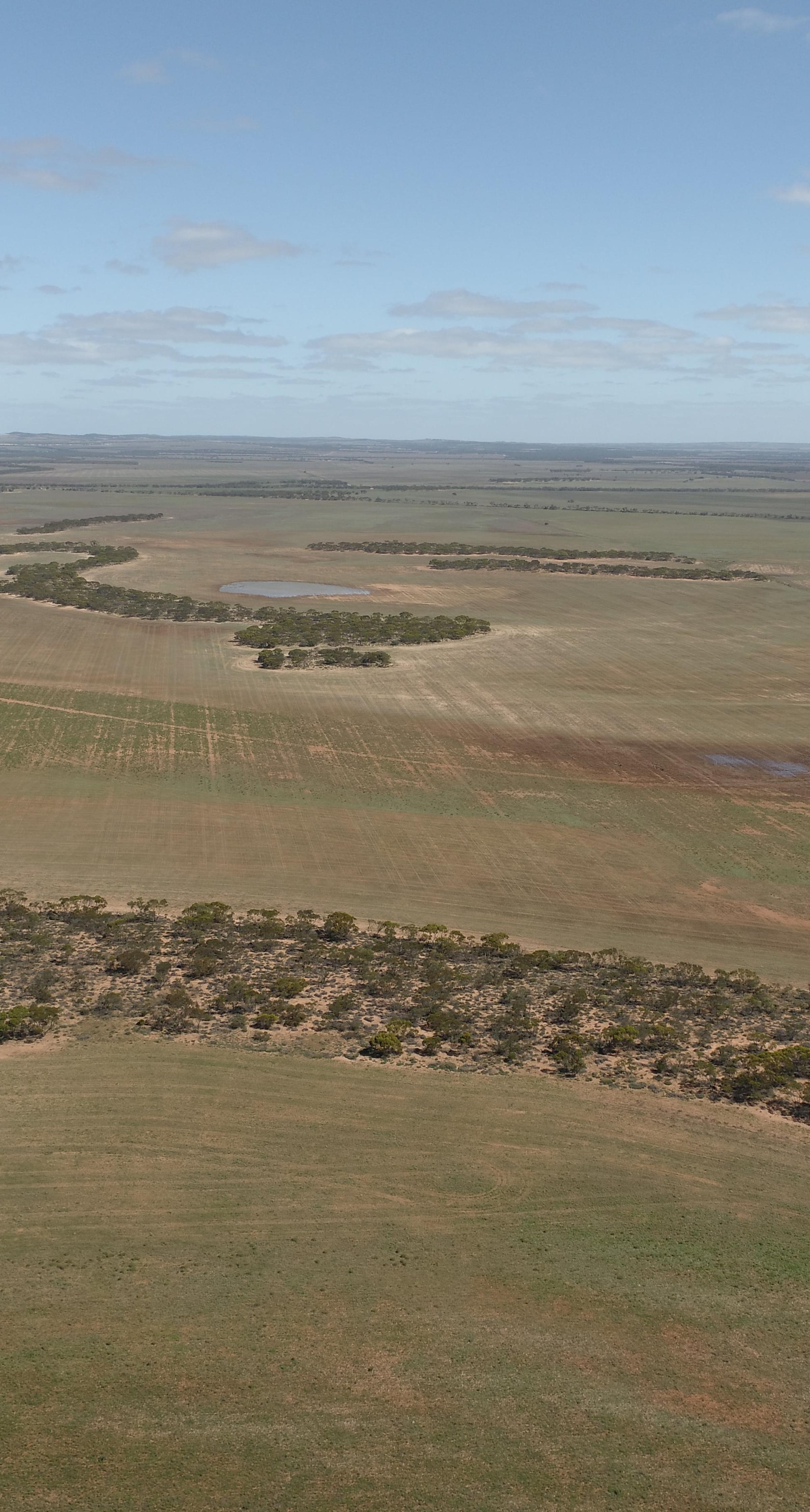 Degraded land in South Australia