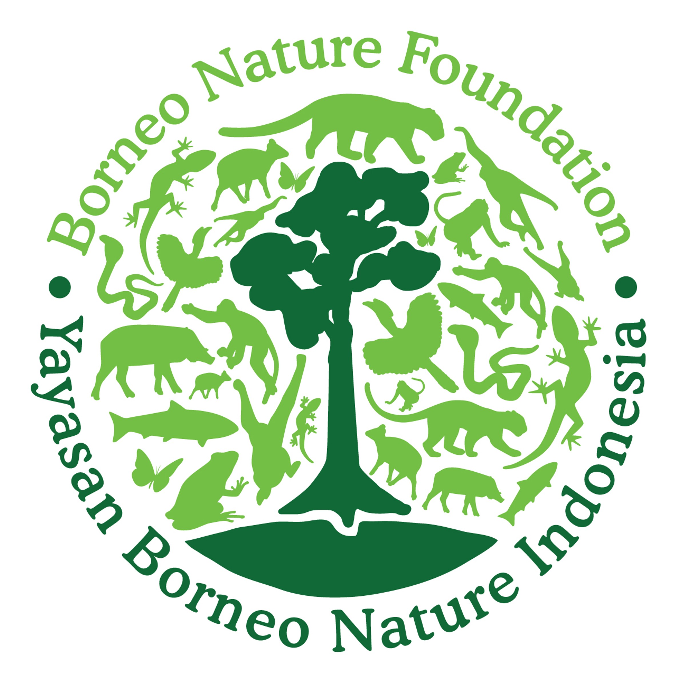 BNF Logo