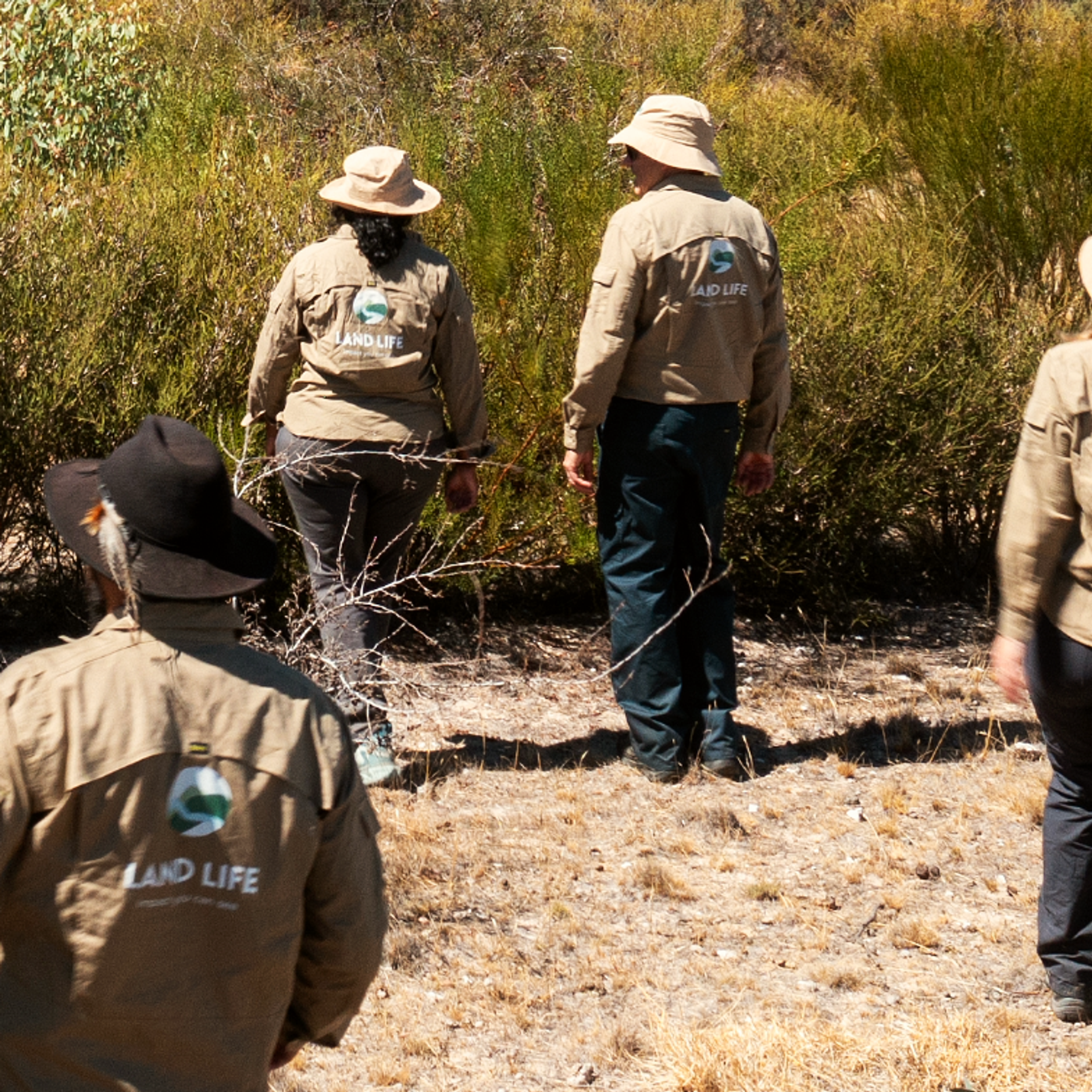 crew in the field
