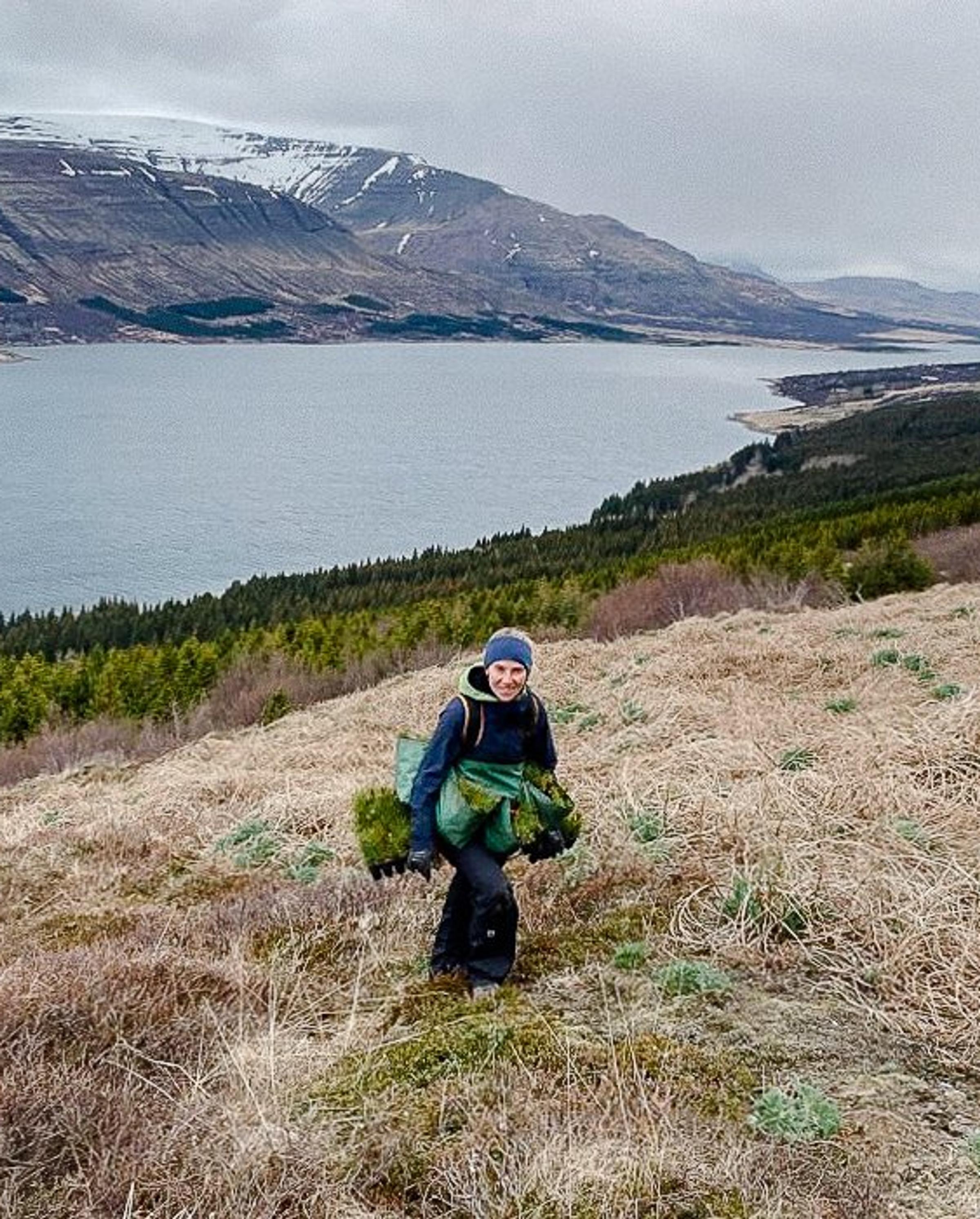 degraded land in iceland