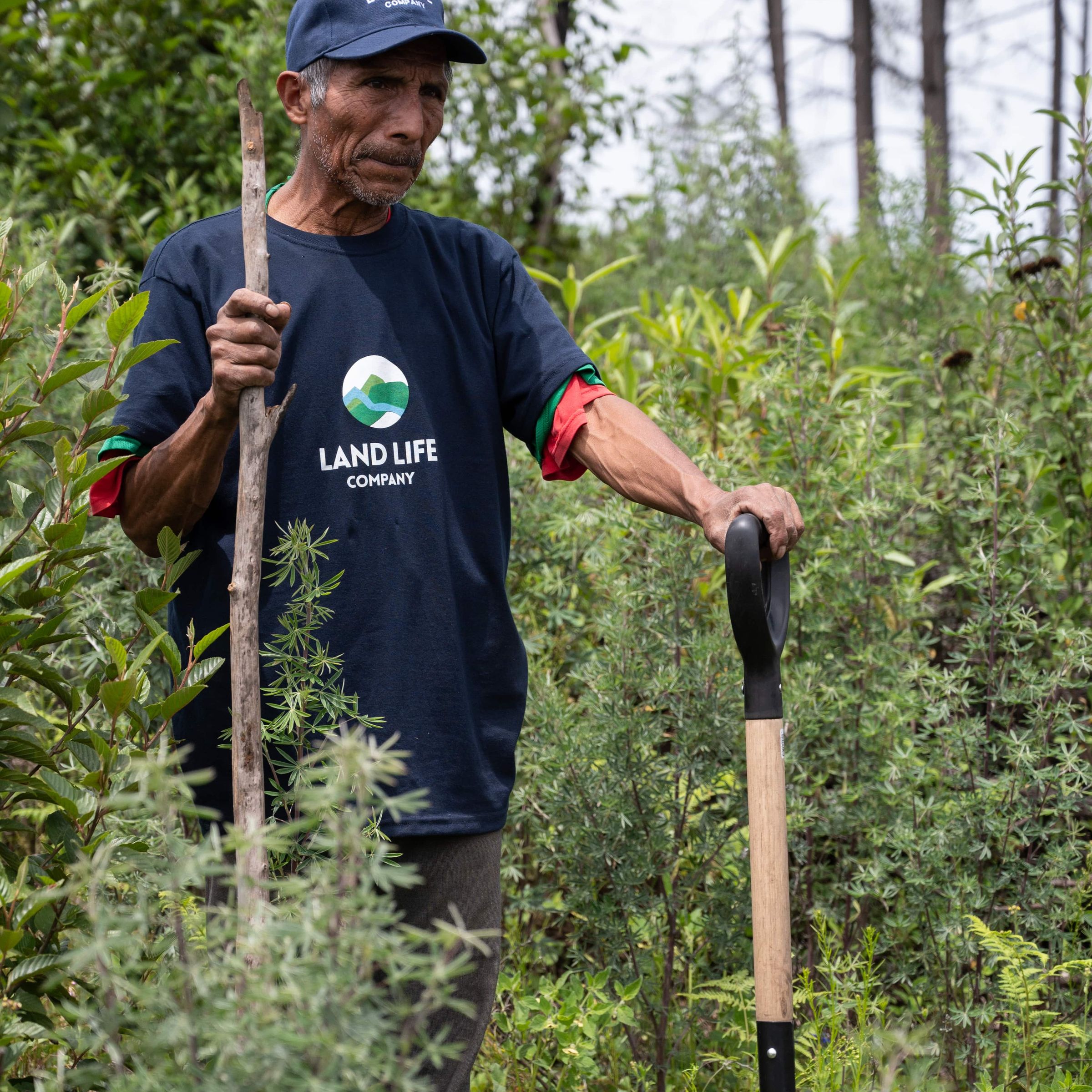 Indigenous man on reforestation project