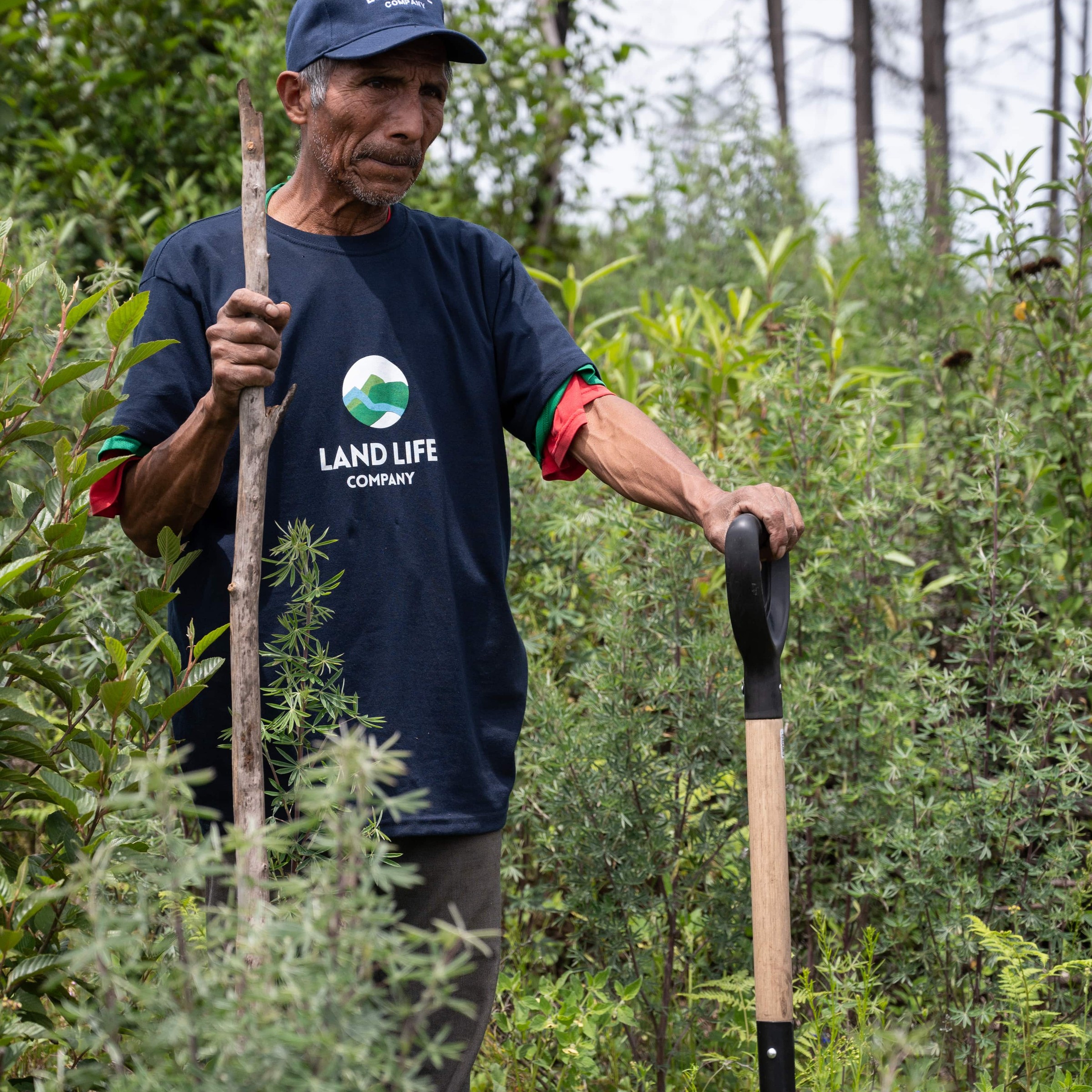 Indigenous man on reforestation project