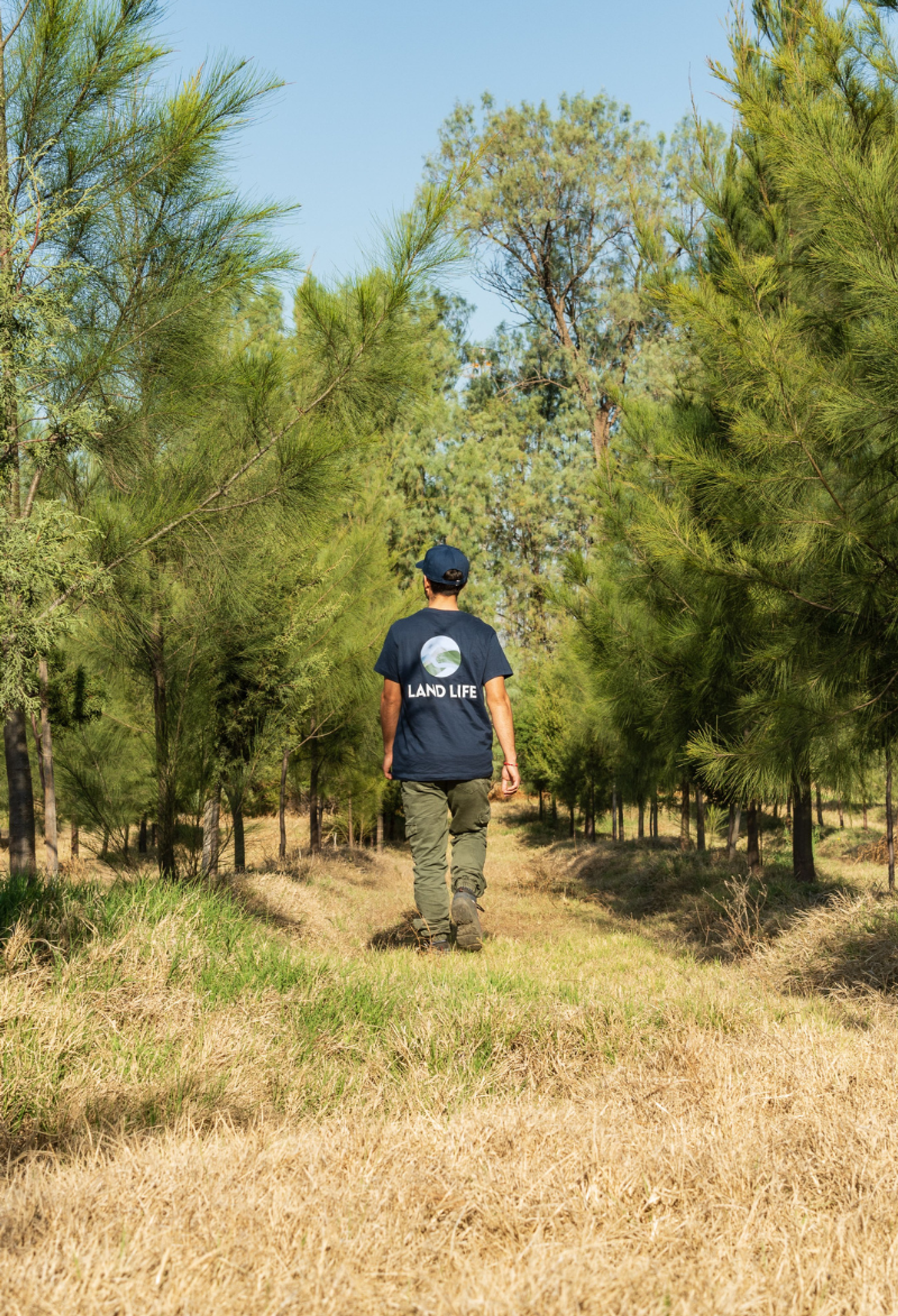 Man walking through forest