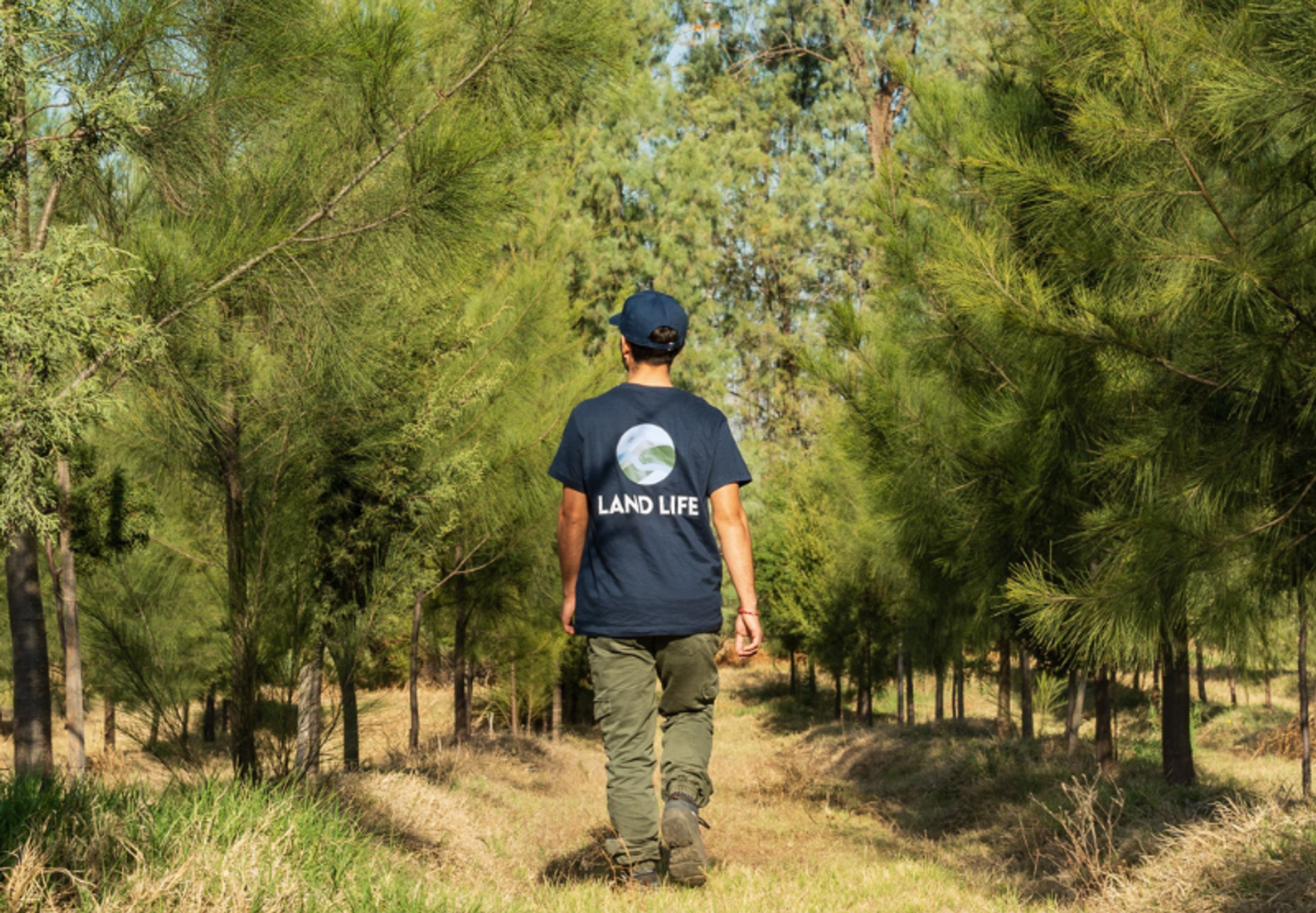 Man walking through forest