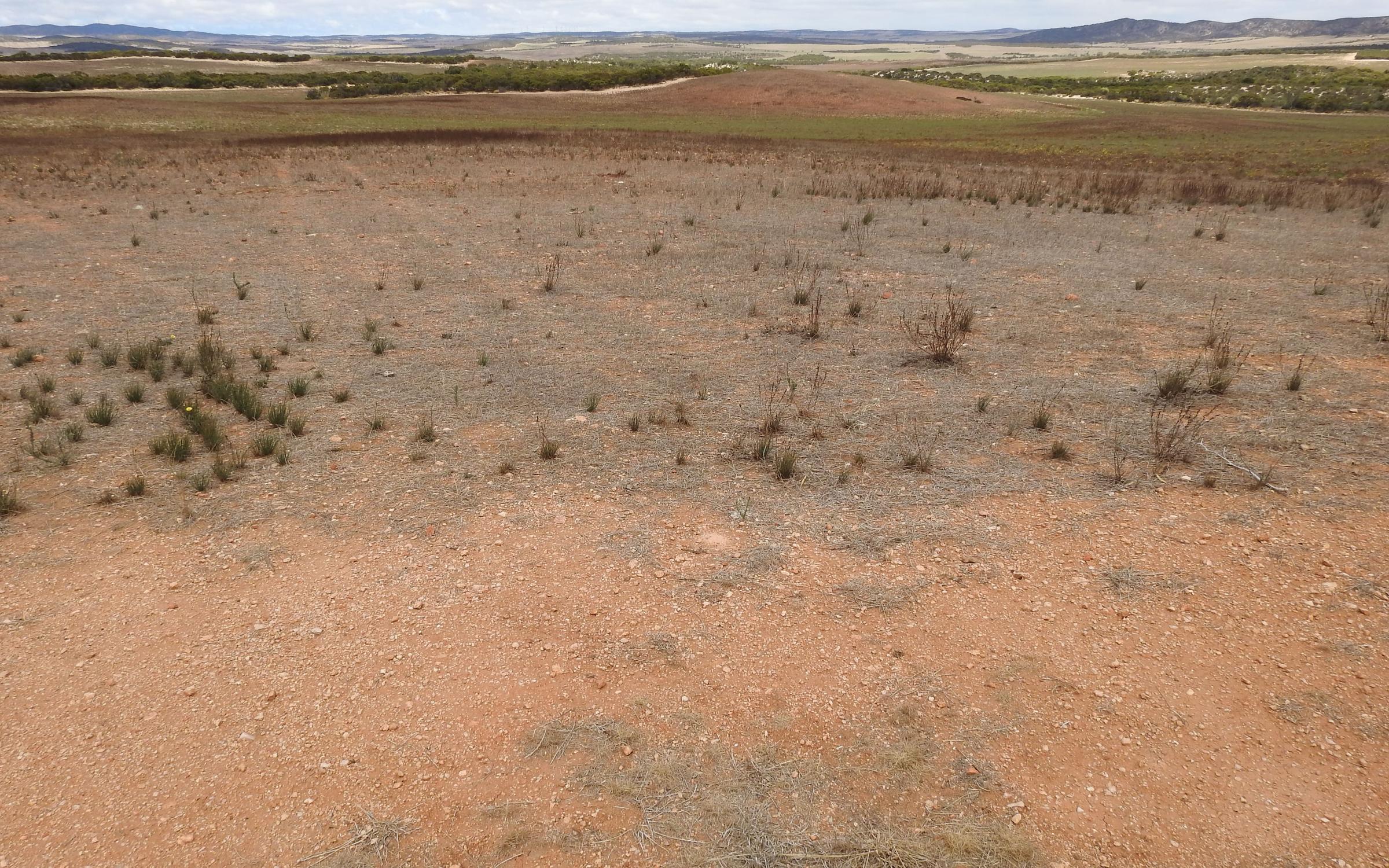 Degraded land in South Australia