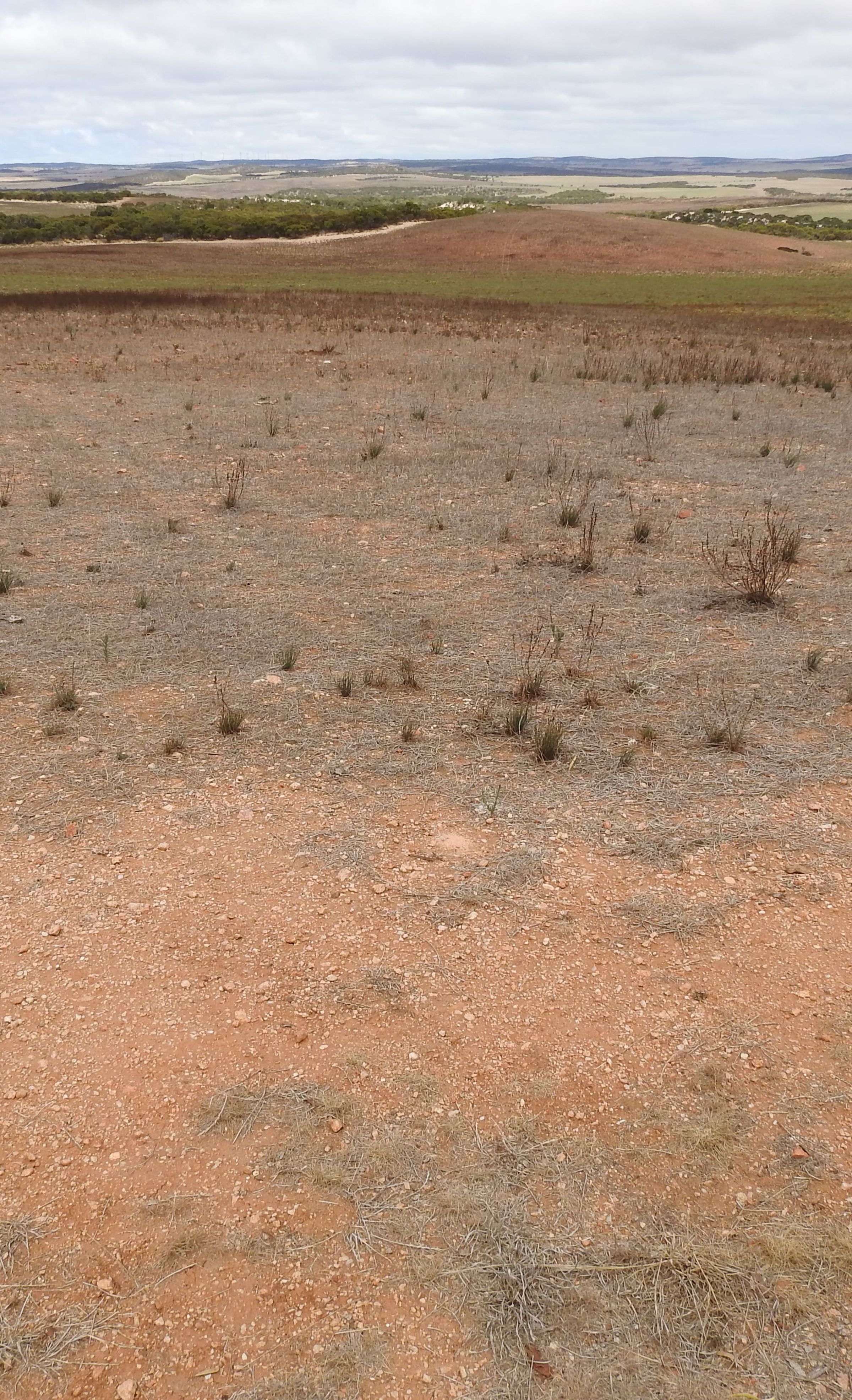 Degraded land in South Australia
