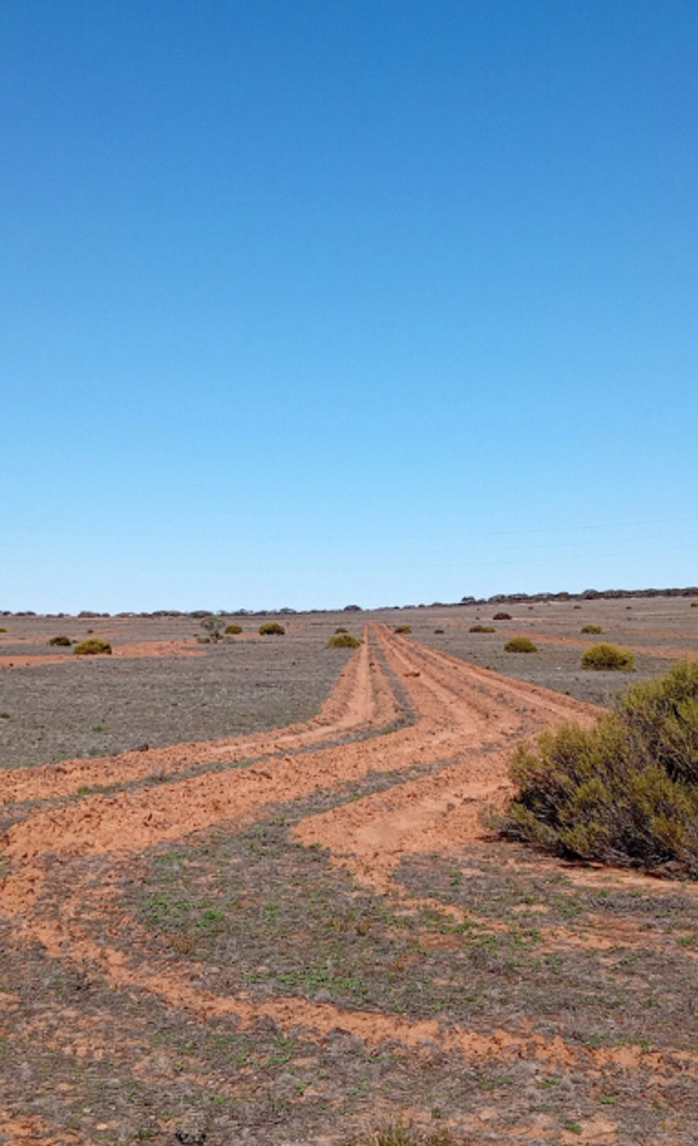 Degraded land in Burton South Australia