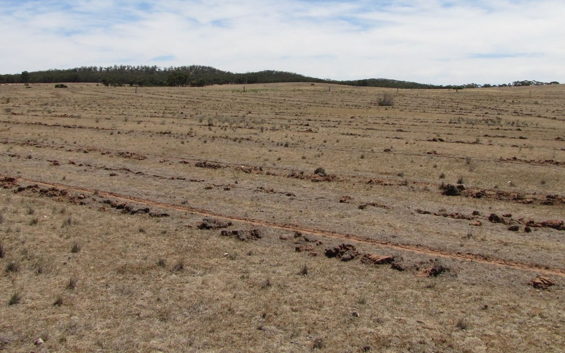 Barren landscape
