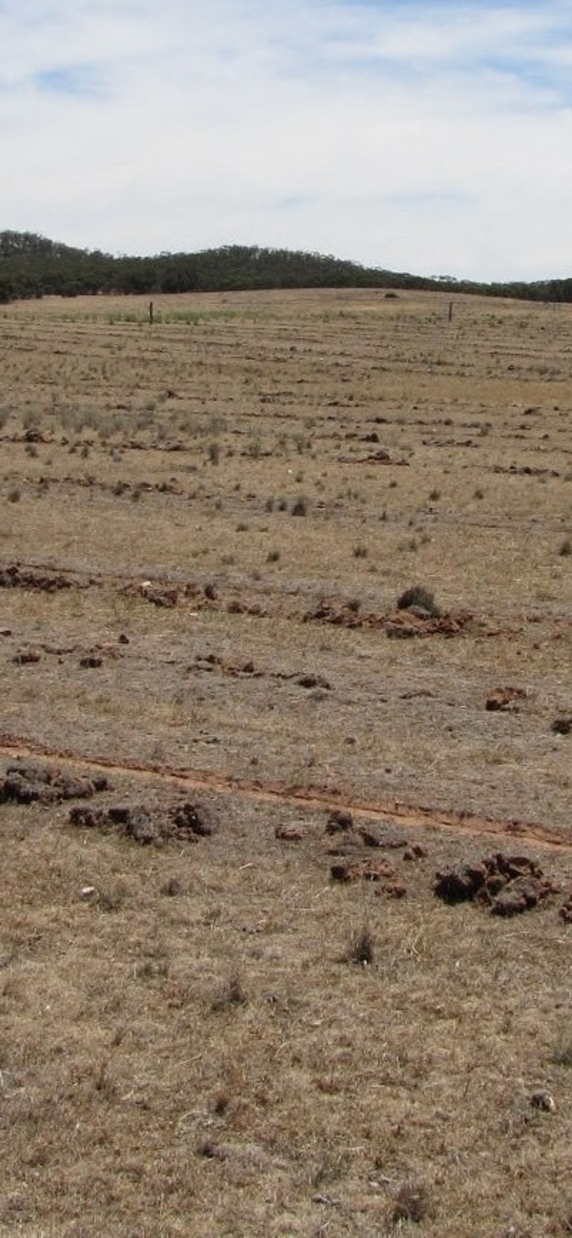 Barren landscape