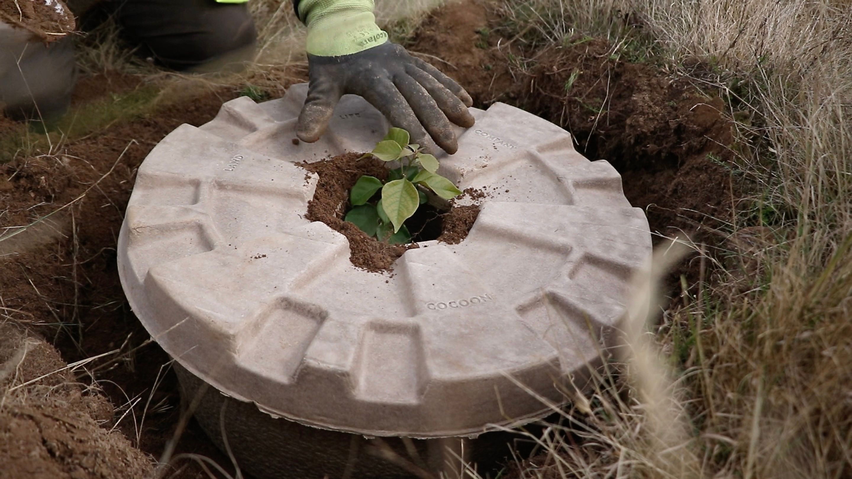 Degraded Land in Australia Understanding the Impact and Solutions