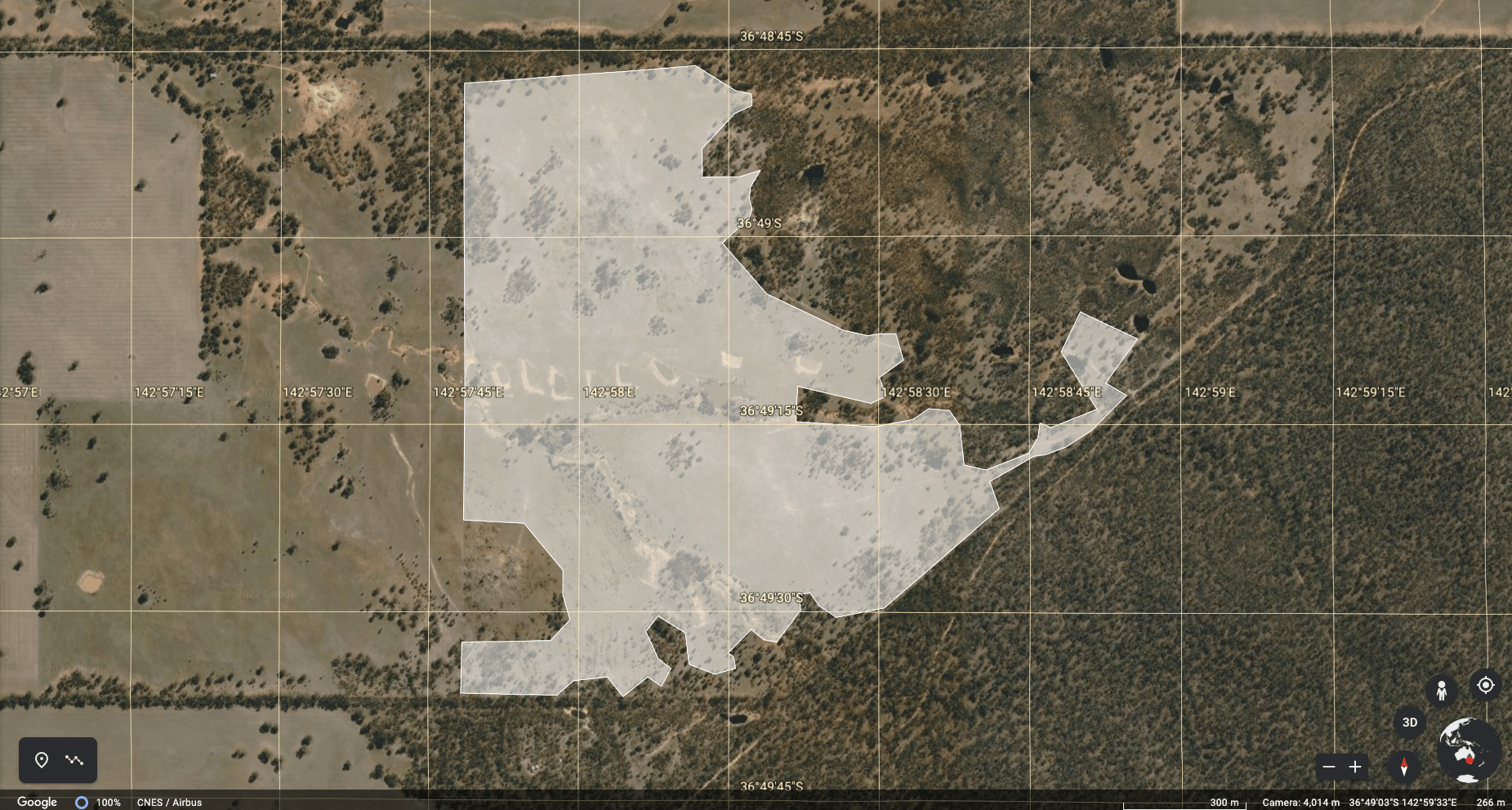 Watching Forests Grow: How Land Life’s Monitoring Builds Trust in Restoration