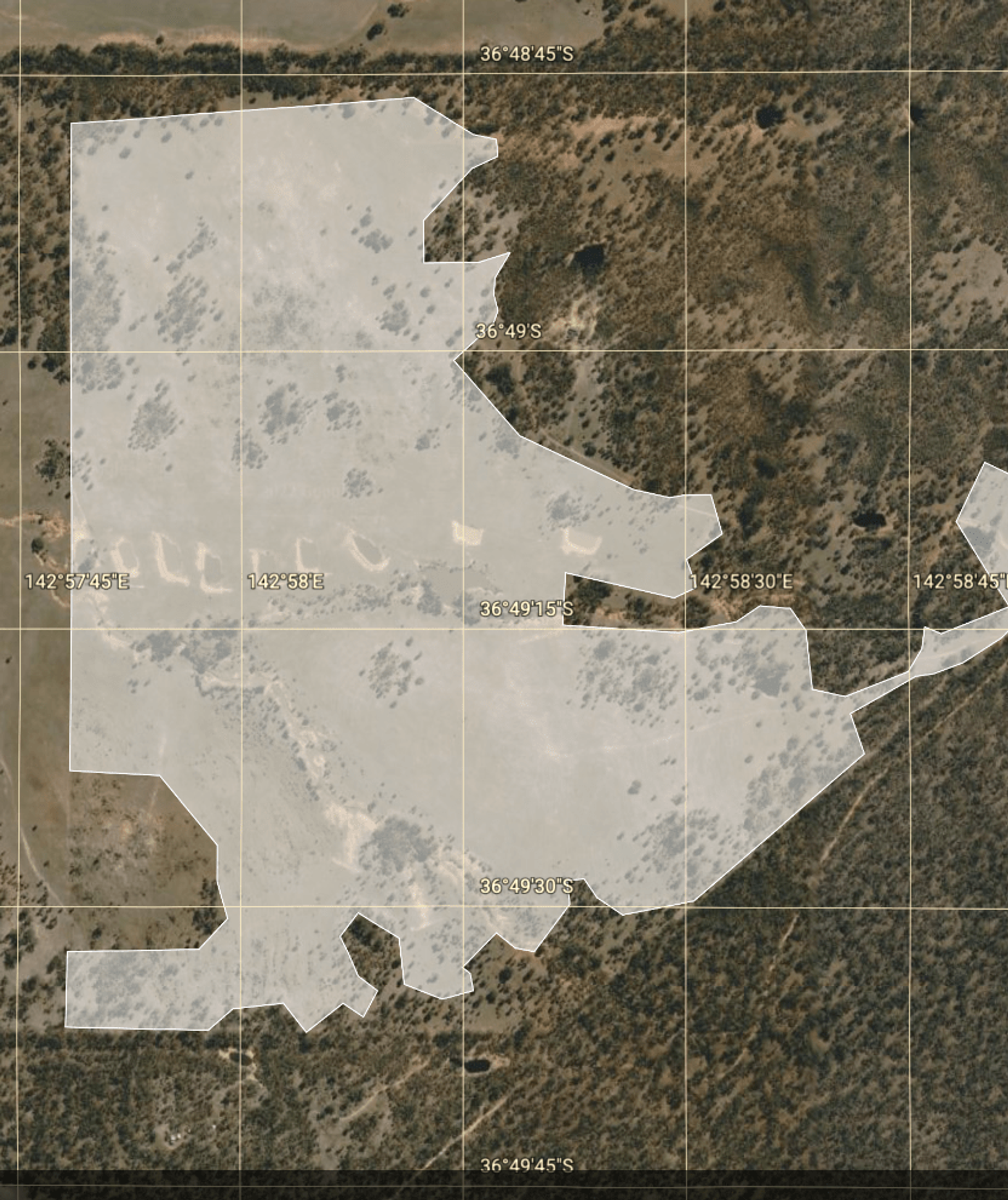 Watching Forests Grow: How Land Life’s Monitoring Builds Trust in Restoration