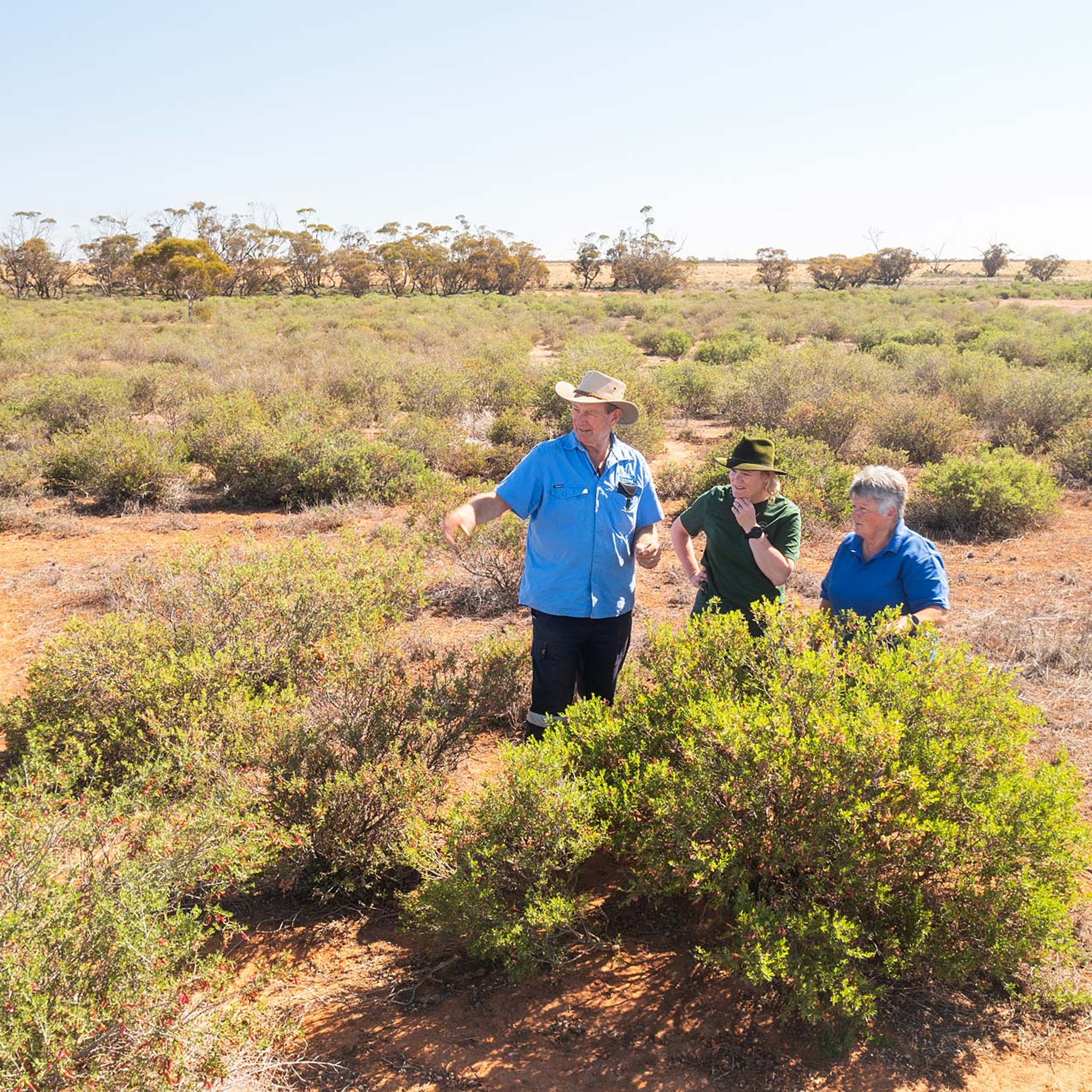 Farmers talking about vegetation in outback
