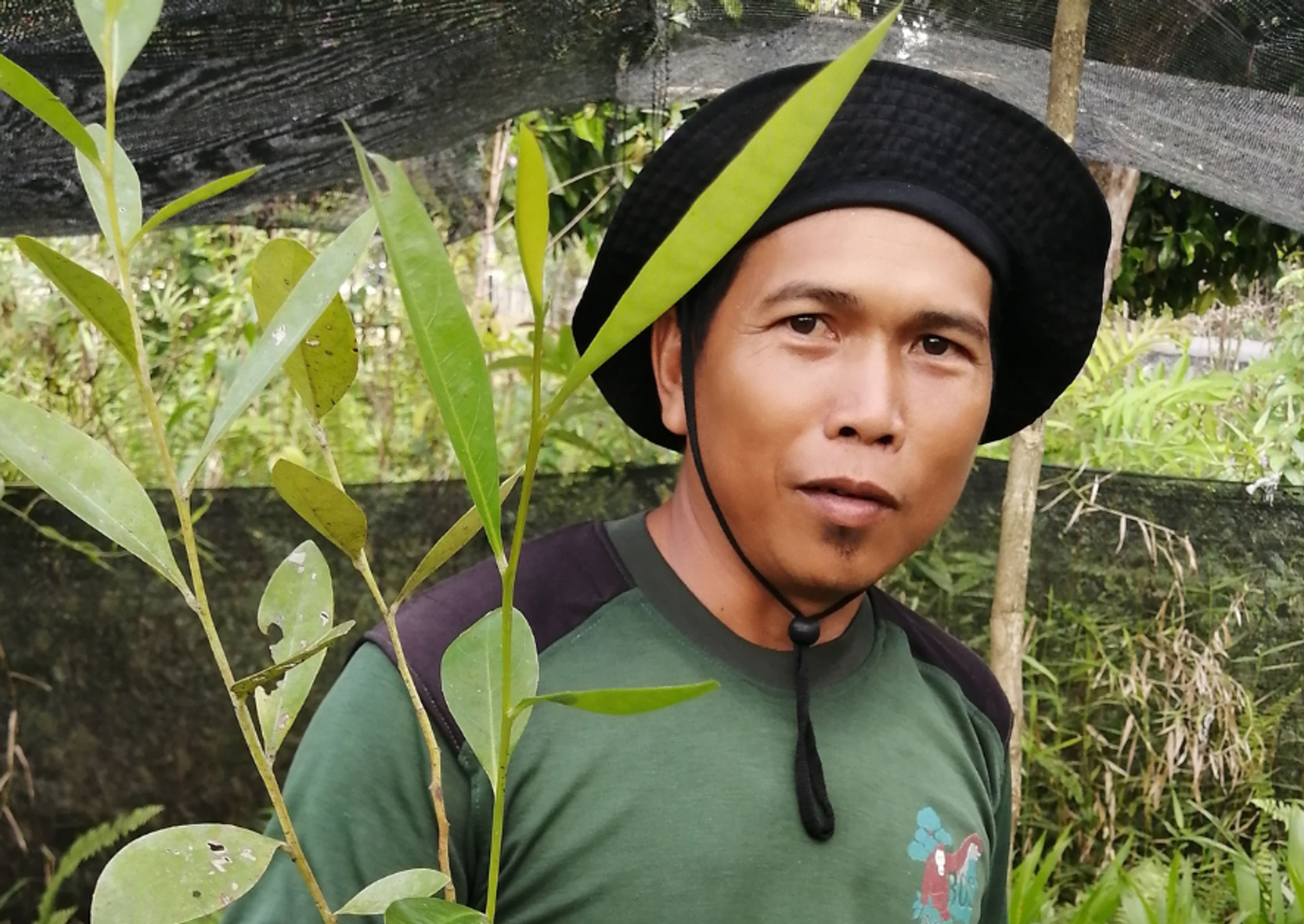 Indonesian man holding seedling