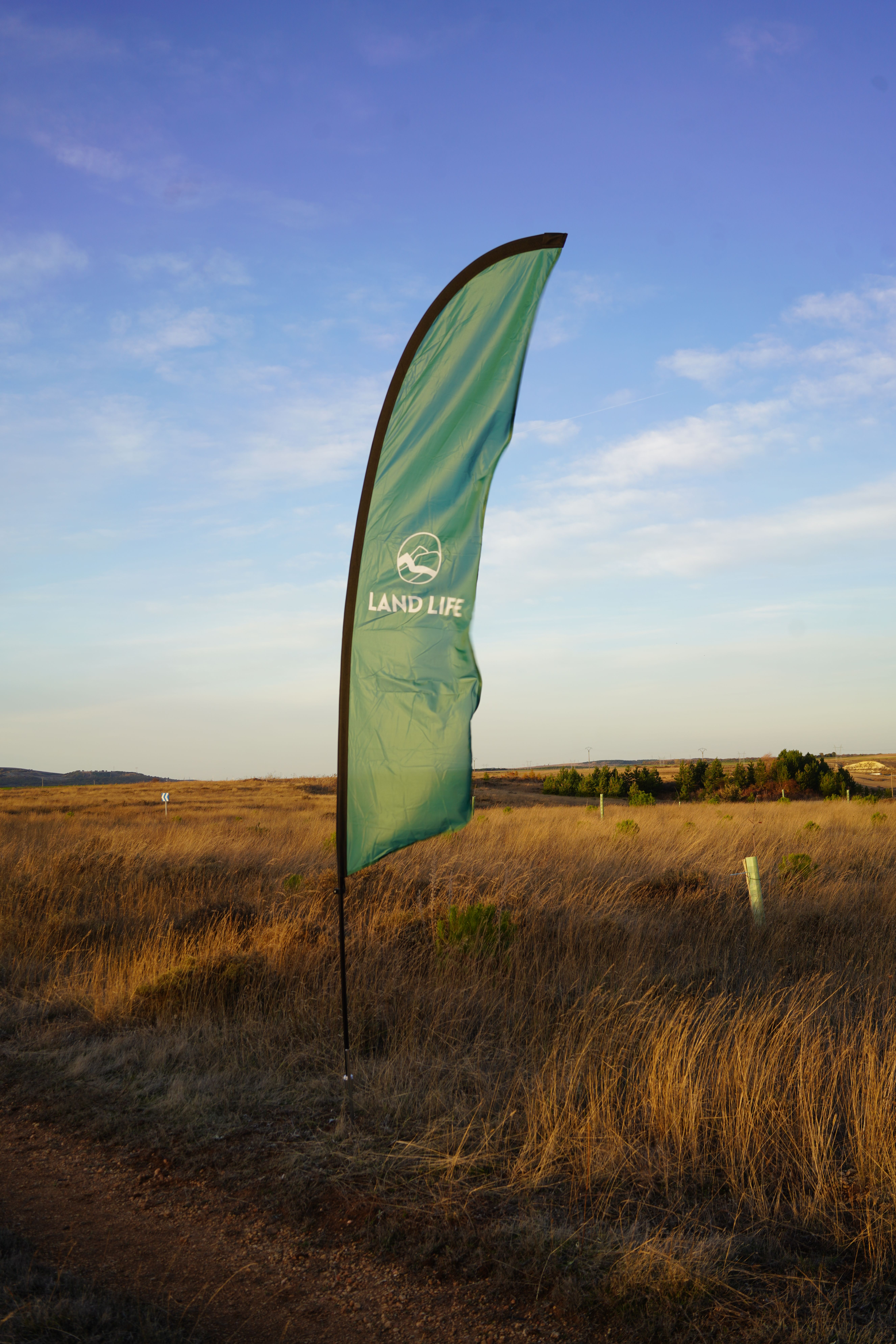 land life flag