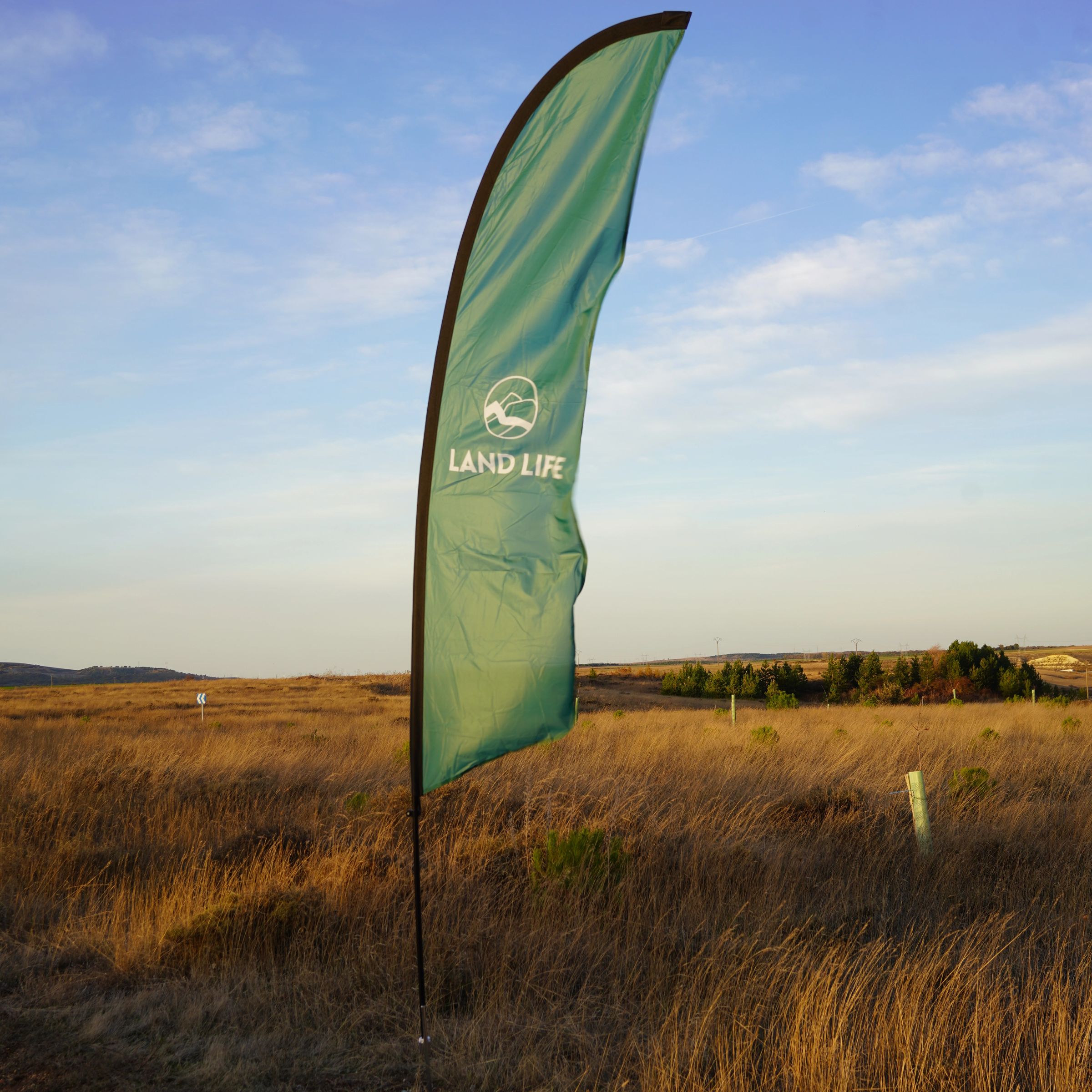 land life flag