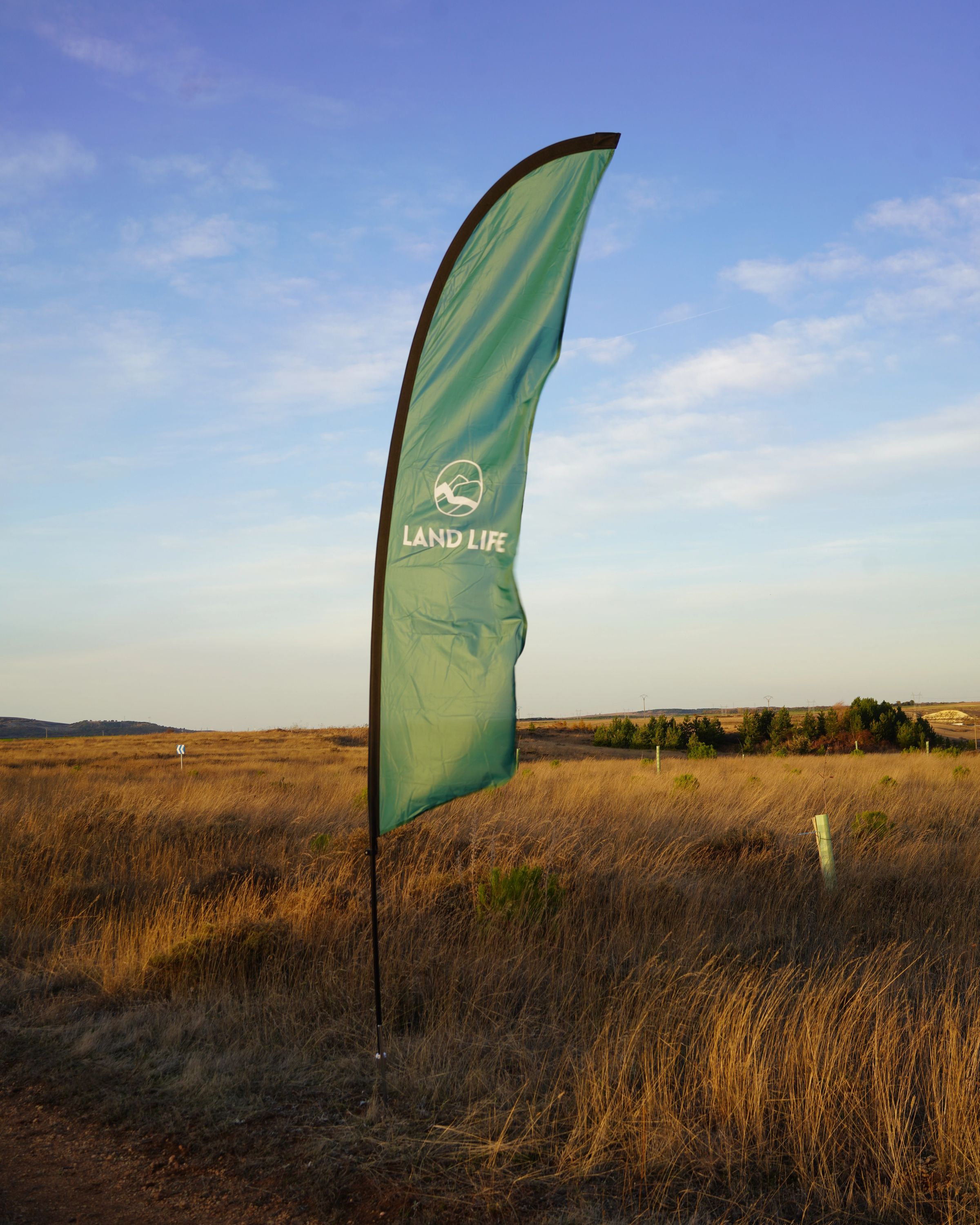 land life flag