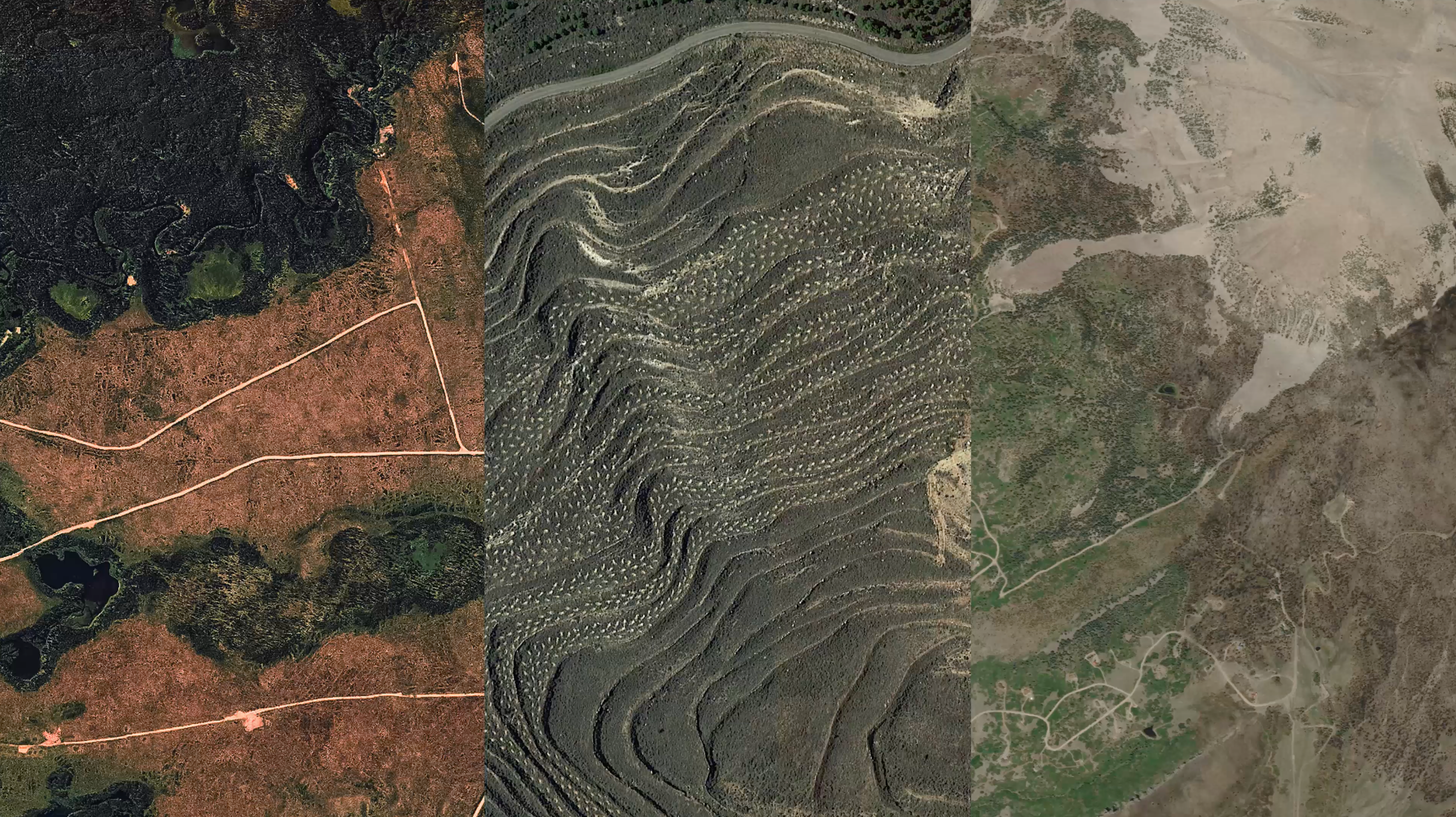 Carbon You Can Count On: How FastTrack is Raising the Bar for Credible Restoration