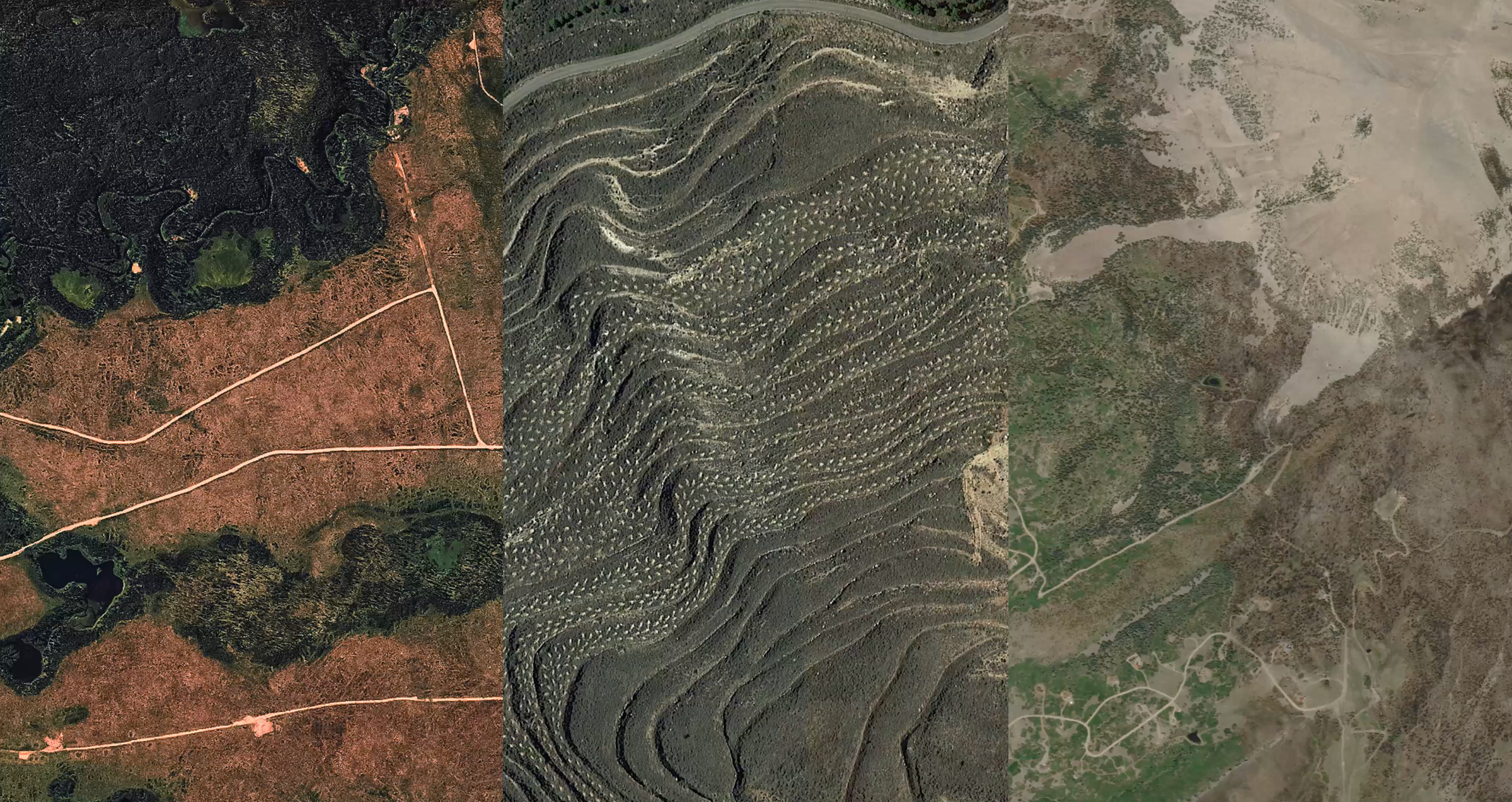 Carbon You Can Count On: How FastTrack is Raising the Bar for Credible Restoration