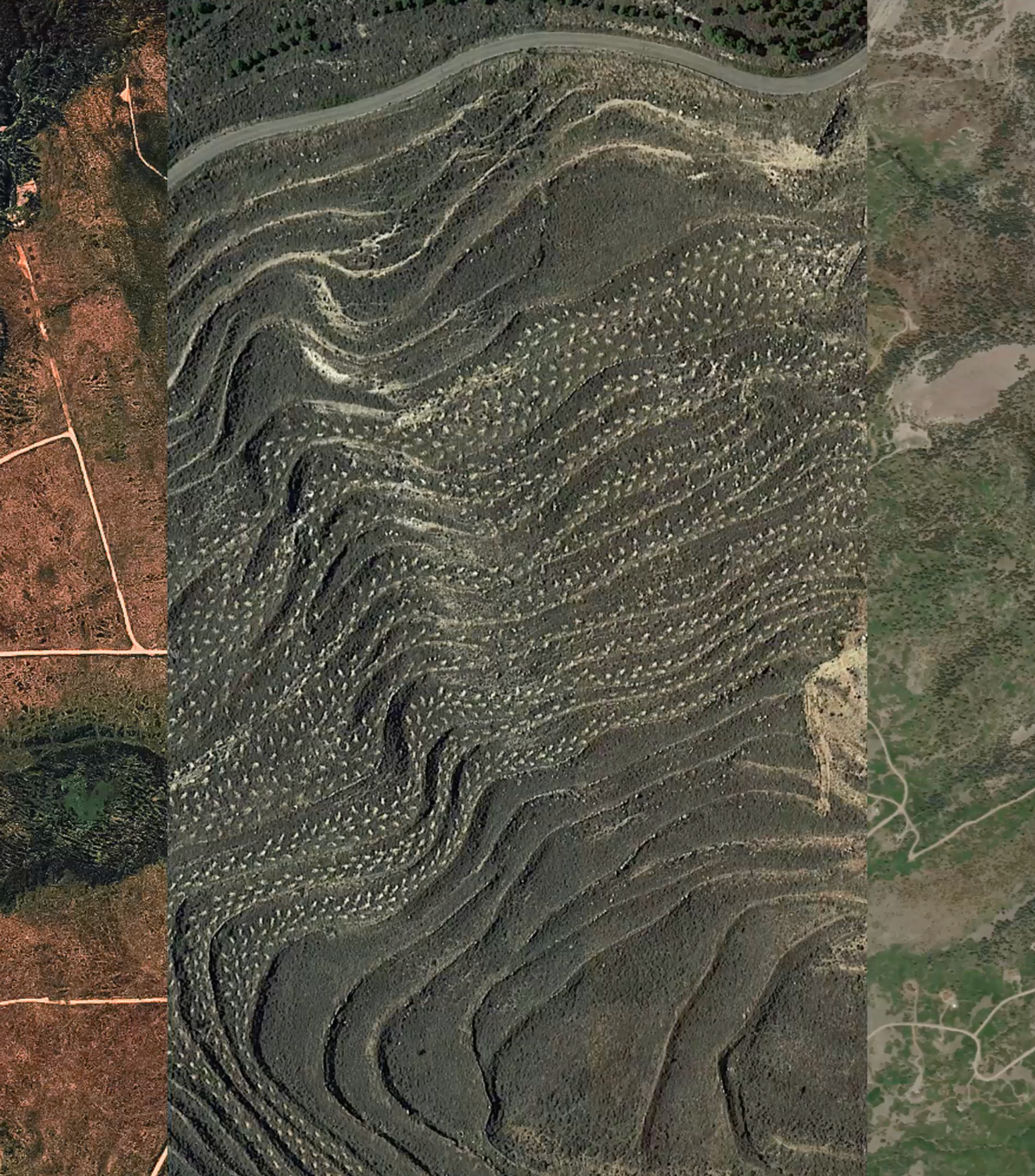 Carbon You Can Count On: How FastTrack is Raising the Bar for Credible Restoration