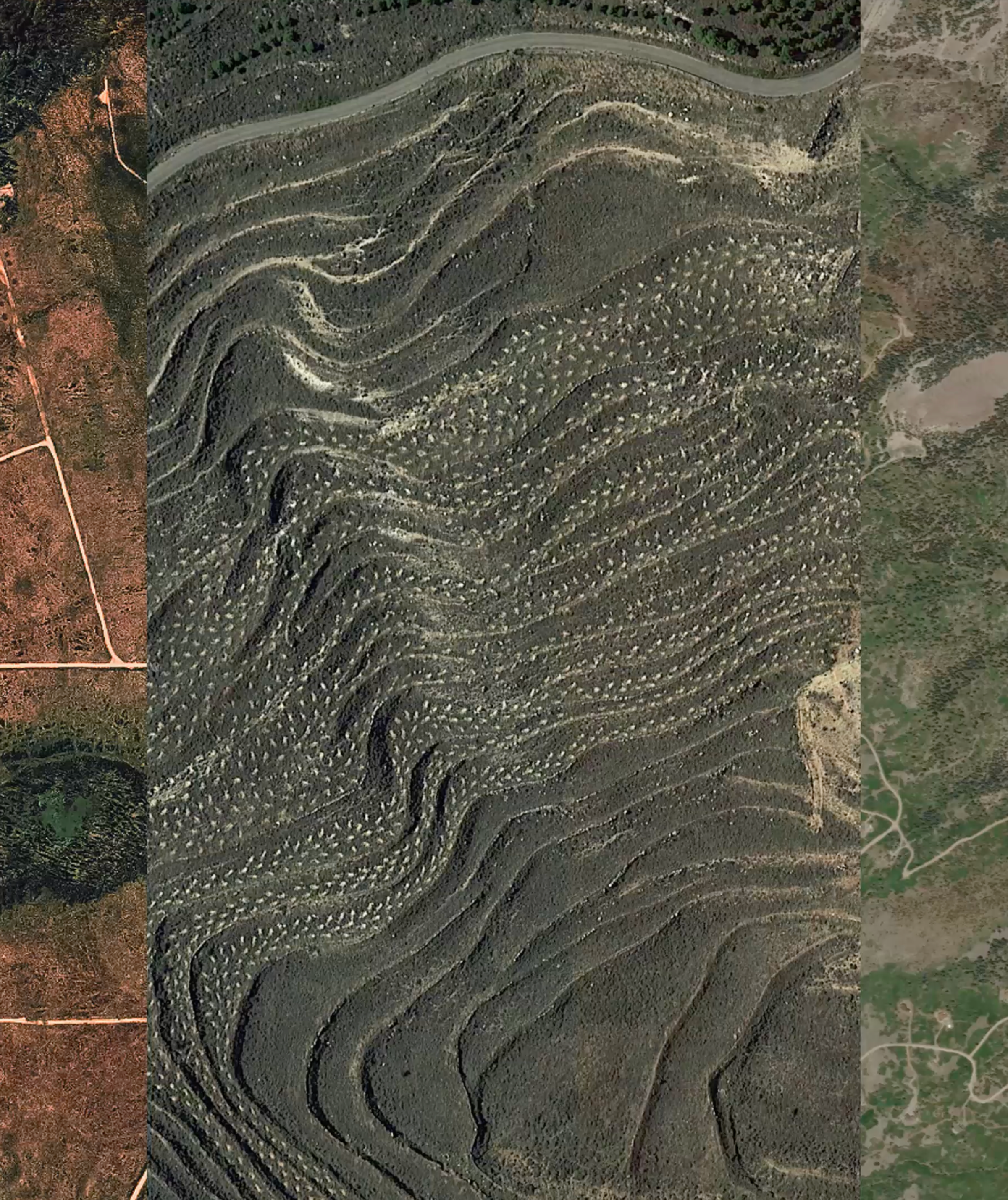 Carbon You Can Count On: How FastTrack is Raising the Bar for Credible Restoration