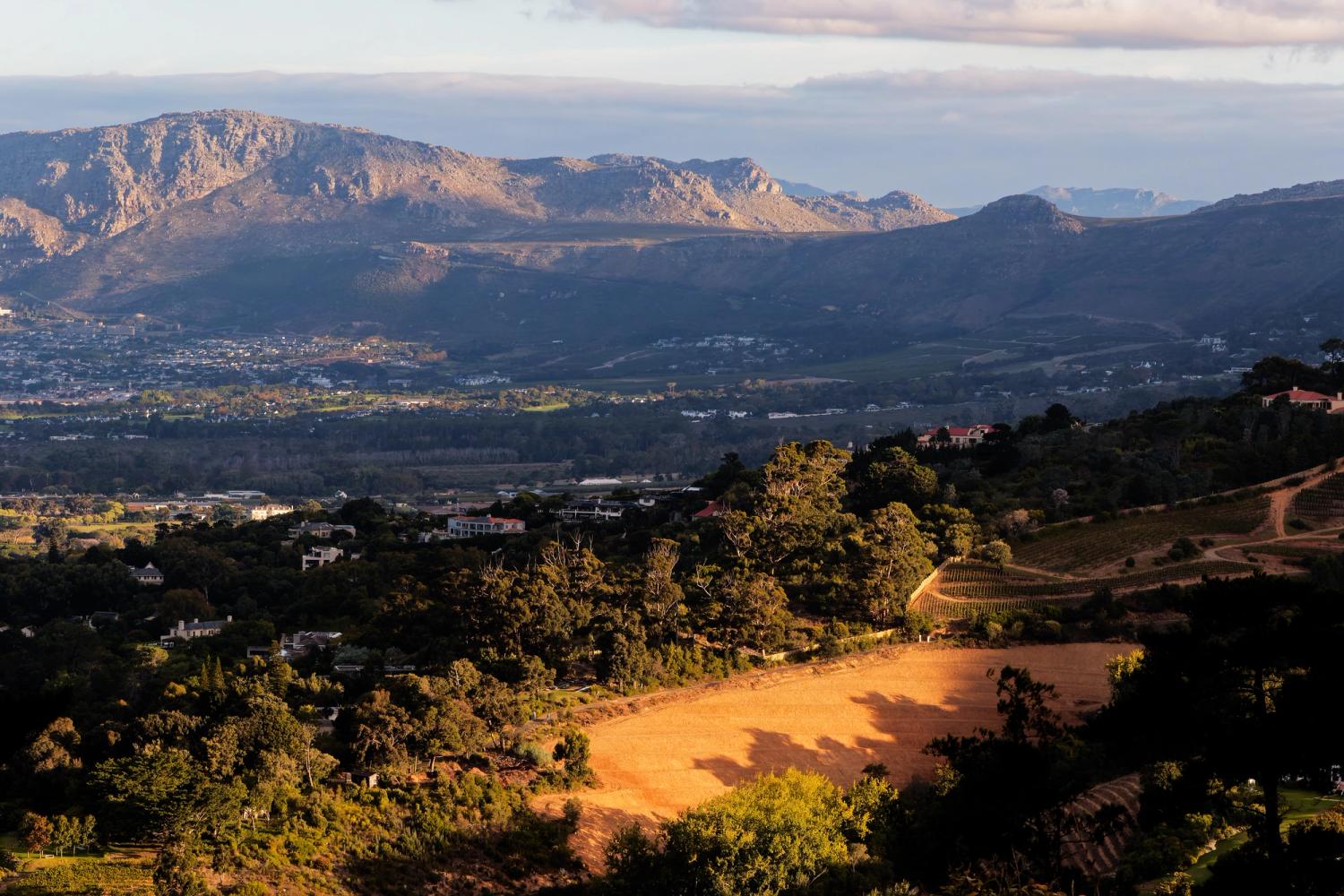 20 minutes out of Cape Town's bustling city center the winelands welcome visitors for wine tastings and great food.