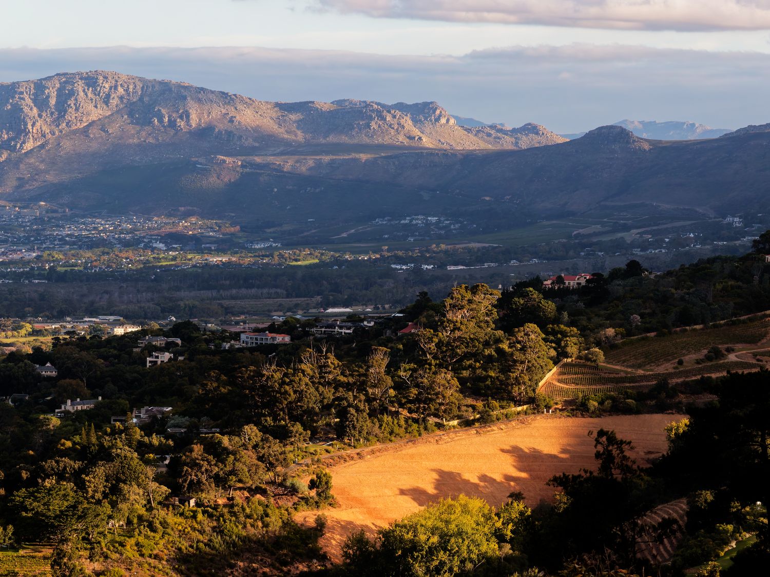 20 minutes out of Cape Town's bustling city center the winelands welcome visitors for wine tastings and great food.