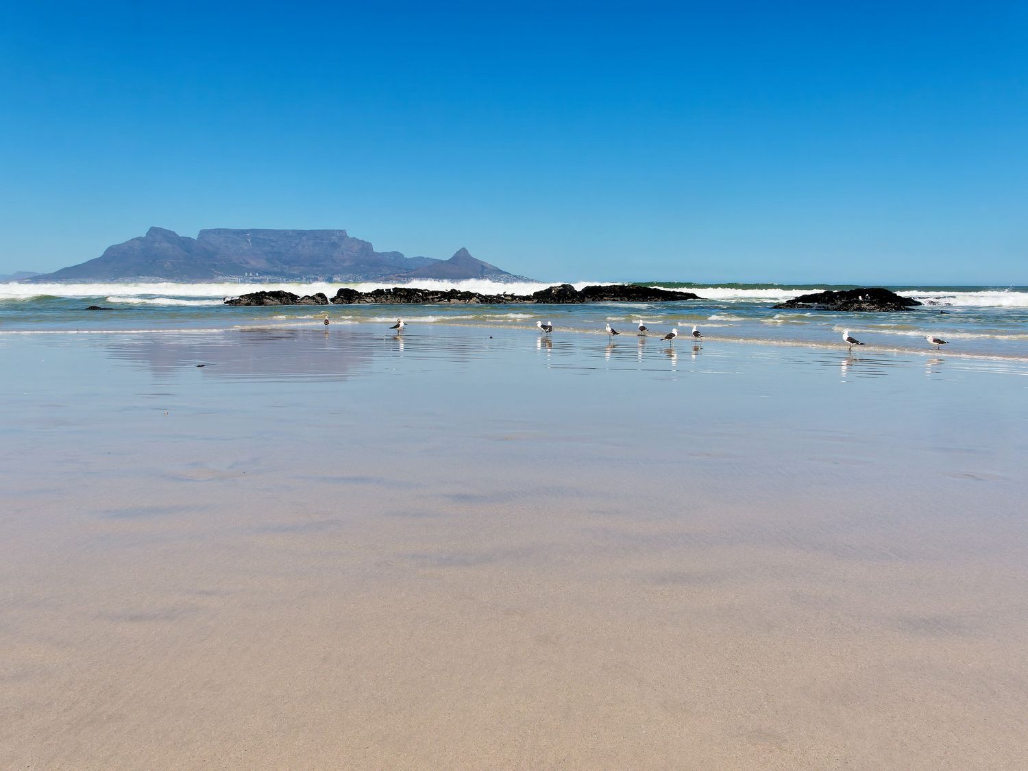 The iconic Table Mountain in Cape Town, South Africa, dominates the landscape and was declared one of the 7 Wonders of the Natural World