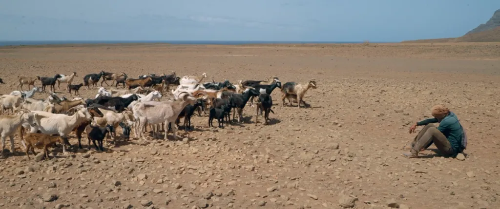 Beeld uit film The Coriolos Effect