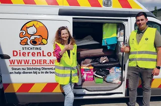 Dierenlot medewerkers voor de auto