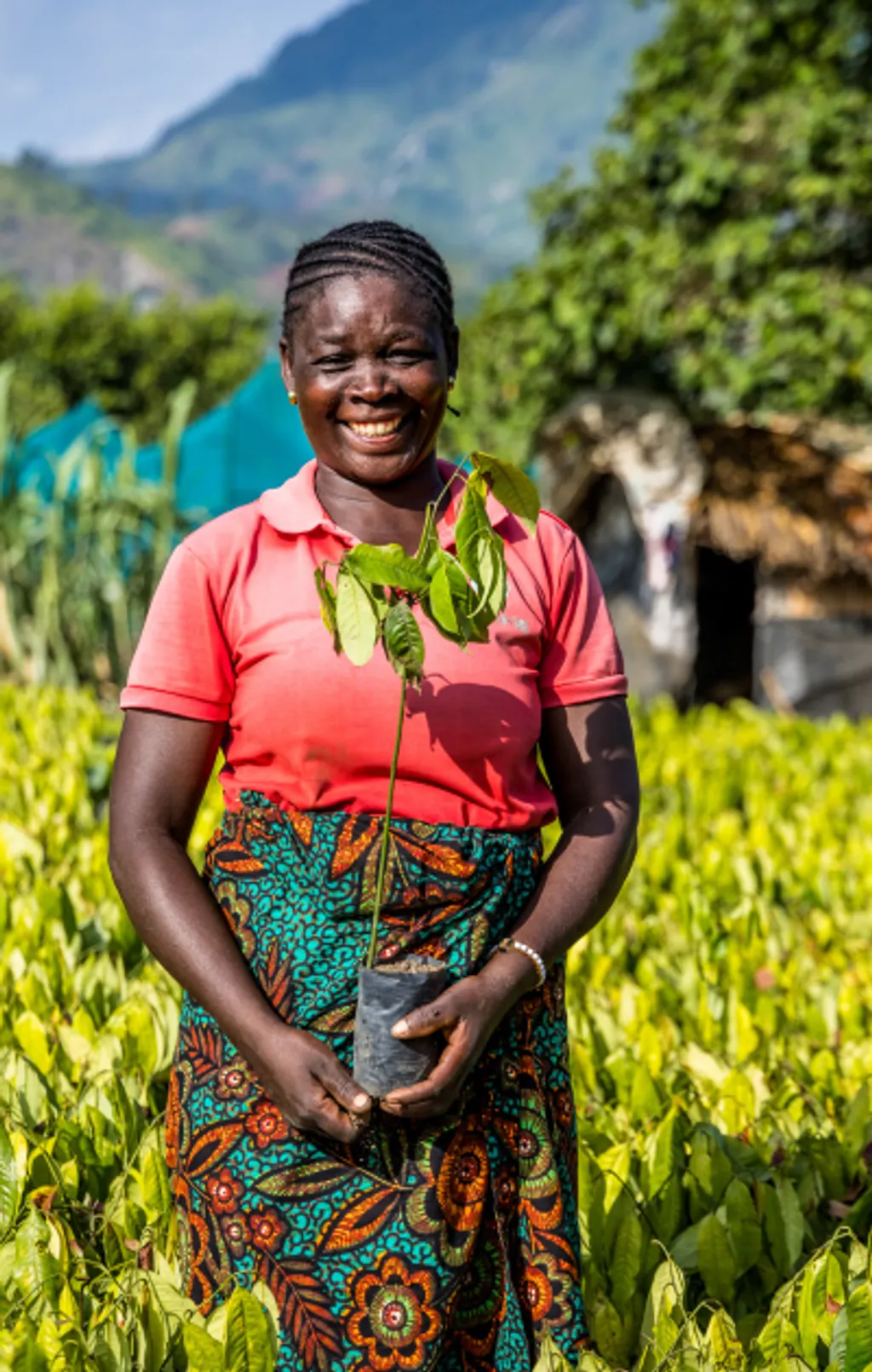Lachende Afrikaanse dame met een plantje in haar hand