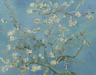 Schilderij Amandelbloesen