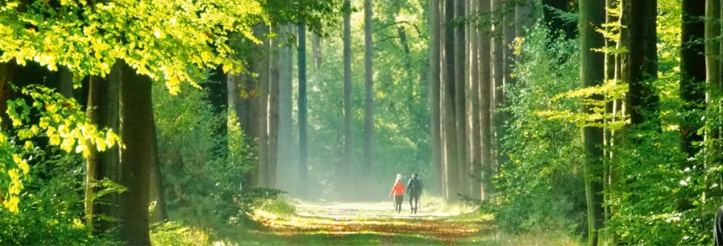 Twee mensen lopen samen door een bos