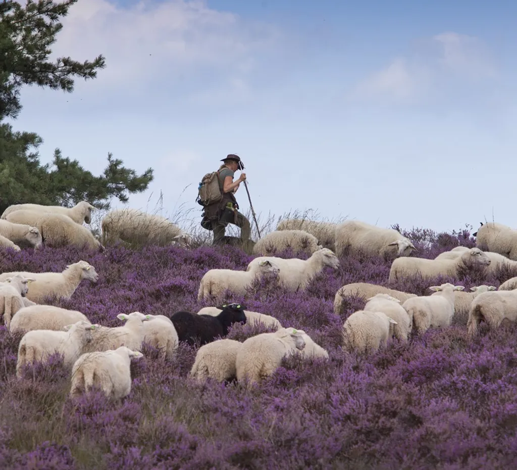 Foto Daphne van Zomeren