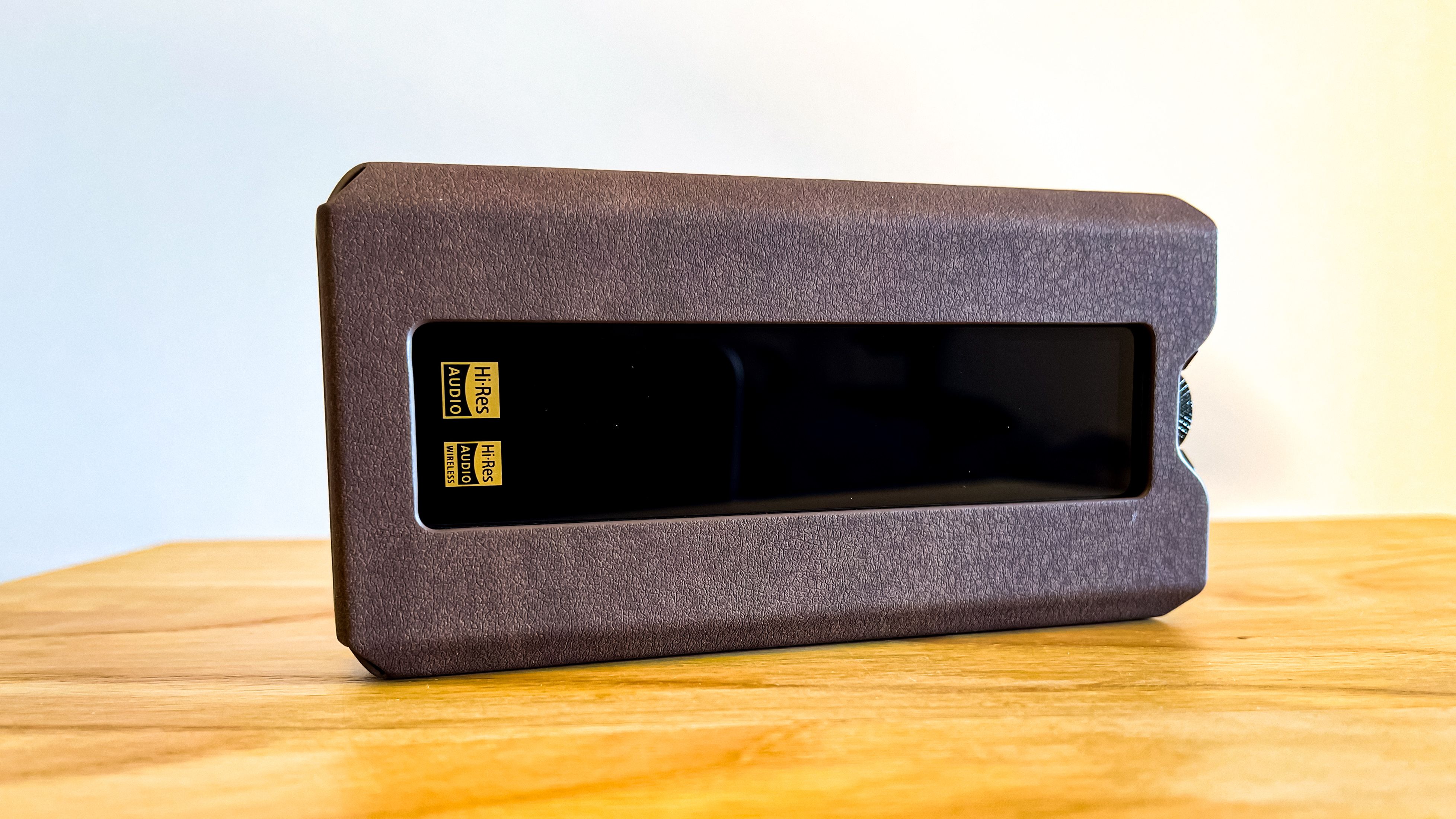 Review of Fiio Q15 - Protector case on qfi Audio