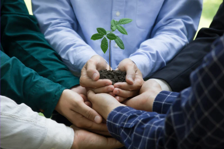 People holding a young plant together, symbolising responsible investing, ESG stewardship, biodiversity, sustainability and long-term value creation for trustees and not-for-profit investors.