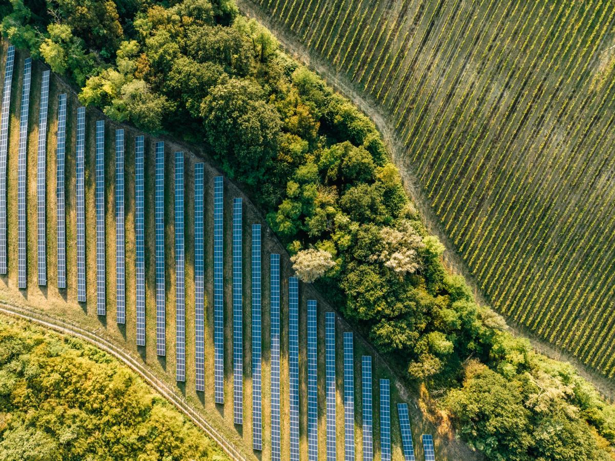 Aerial view of solar panels arranged in neat rows alongside a dense green forest and cultivated farmland. Aerial view of solar panels arranged in neat rows alongside a dense green forest and cultivated farmland.