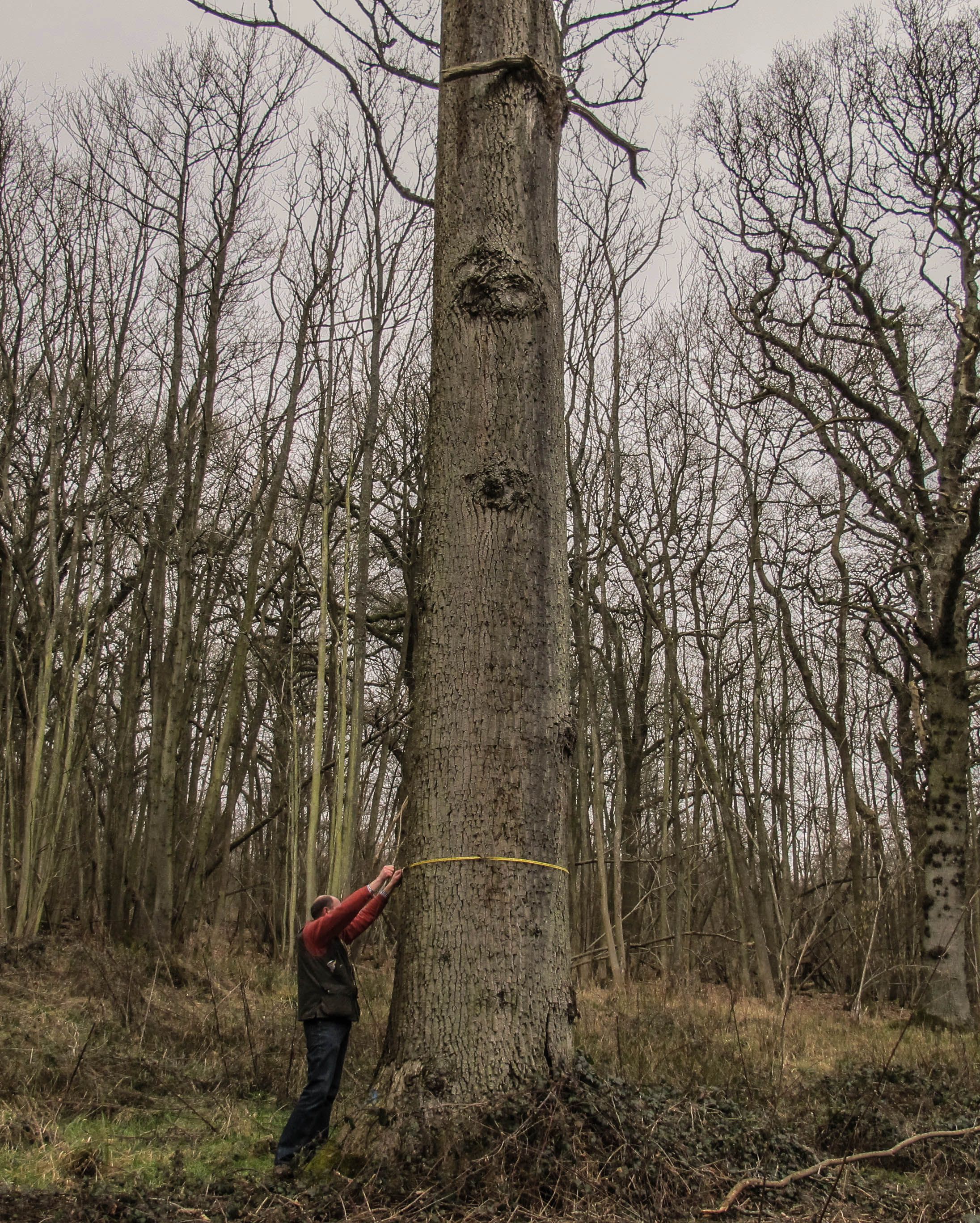 Abbeydale Industrial Museum